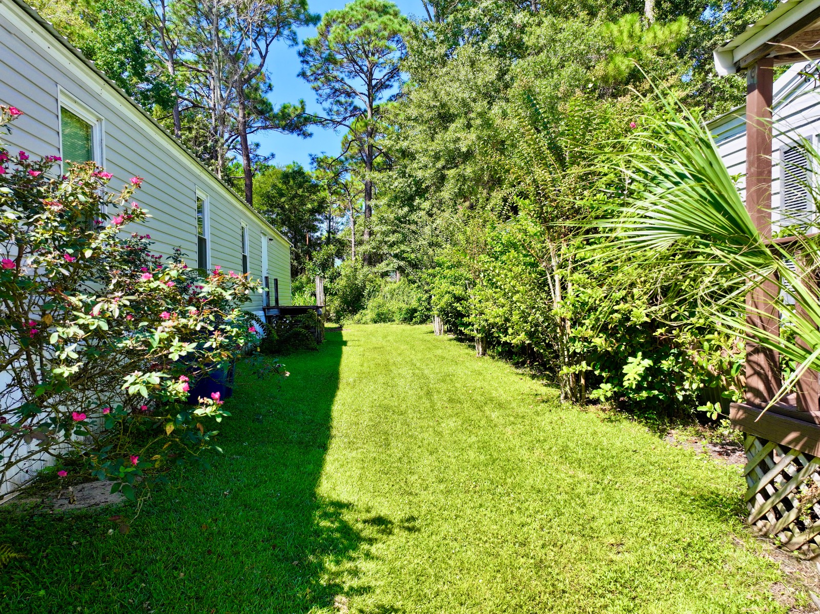 25351 Canal Road Lot 7