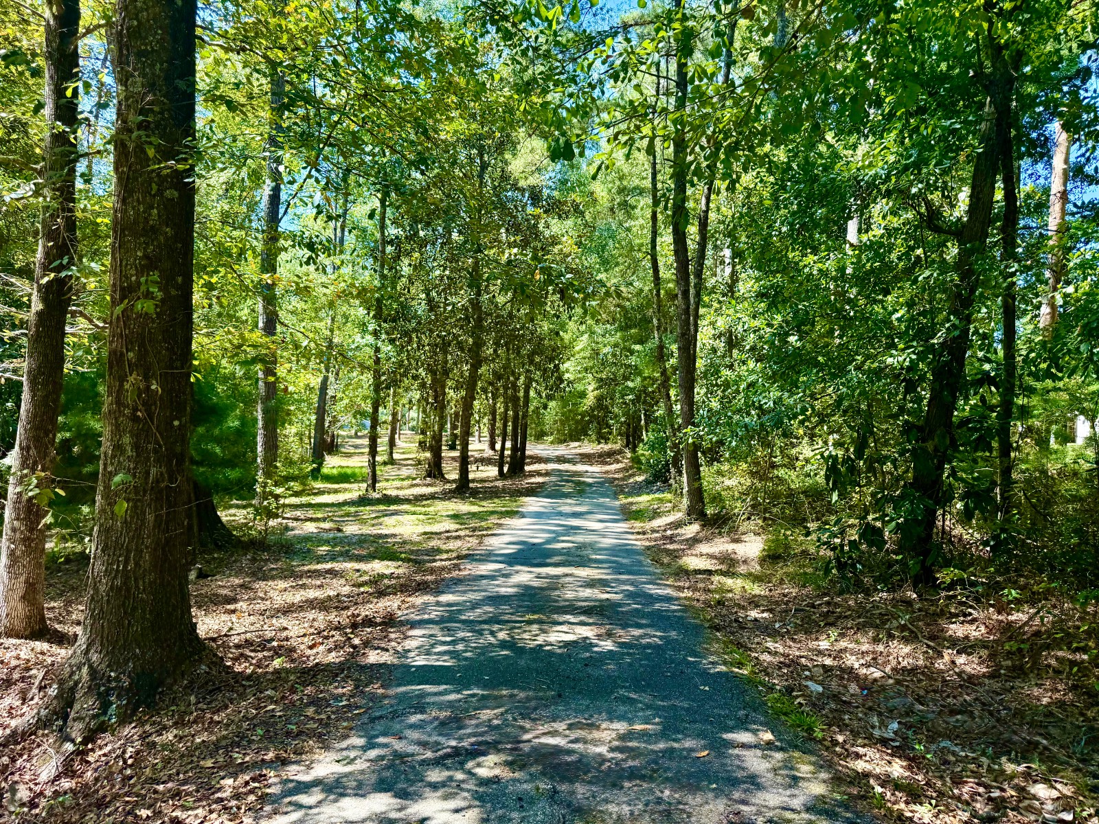 5590 Highway 154