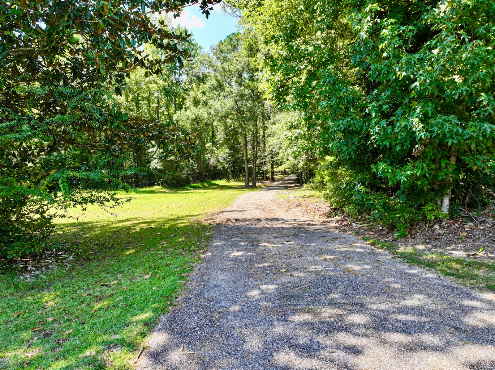 5590 Highway 154