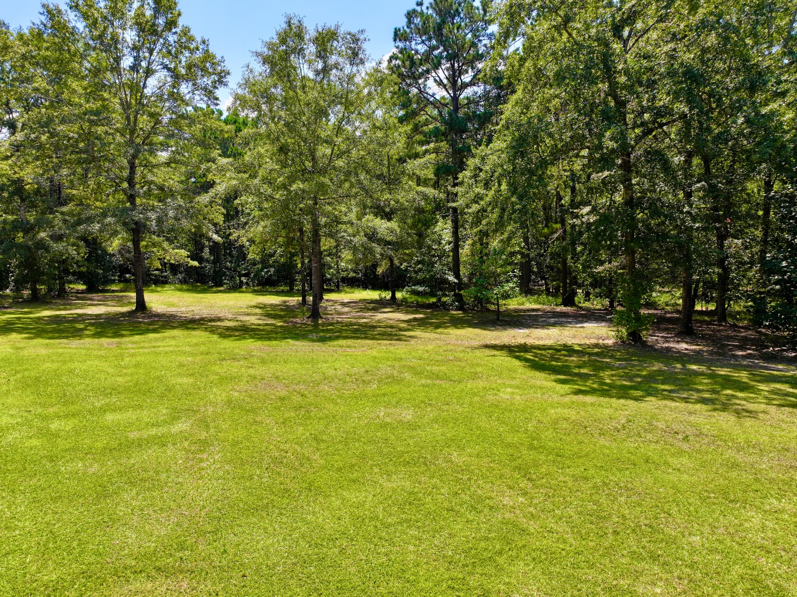 5590 Highway 154