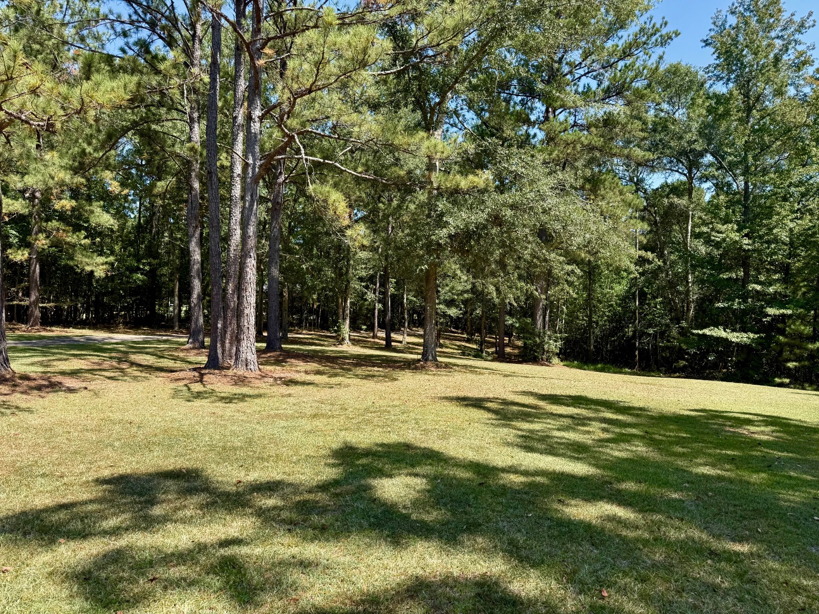 5590 Highway 154