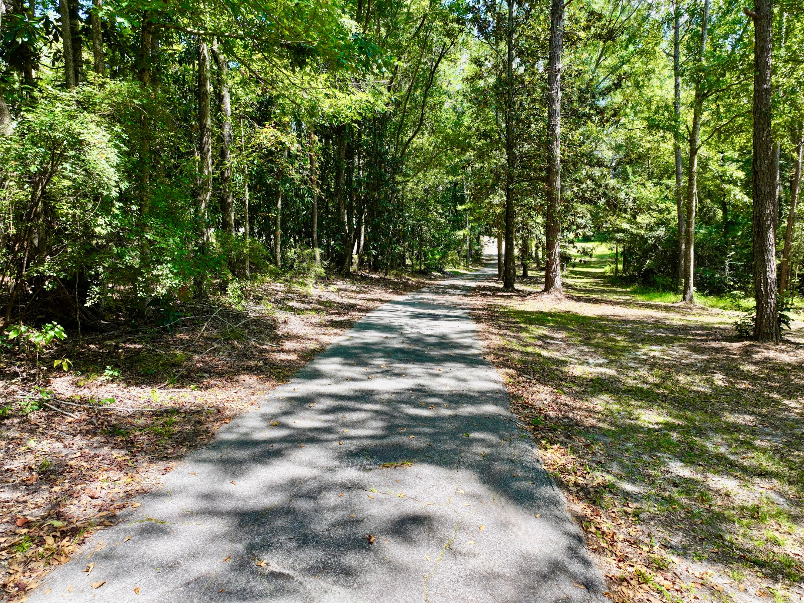 5590 Highway 154