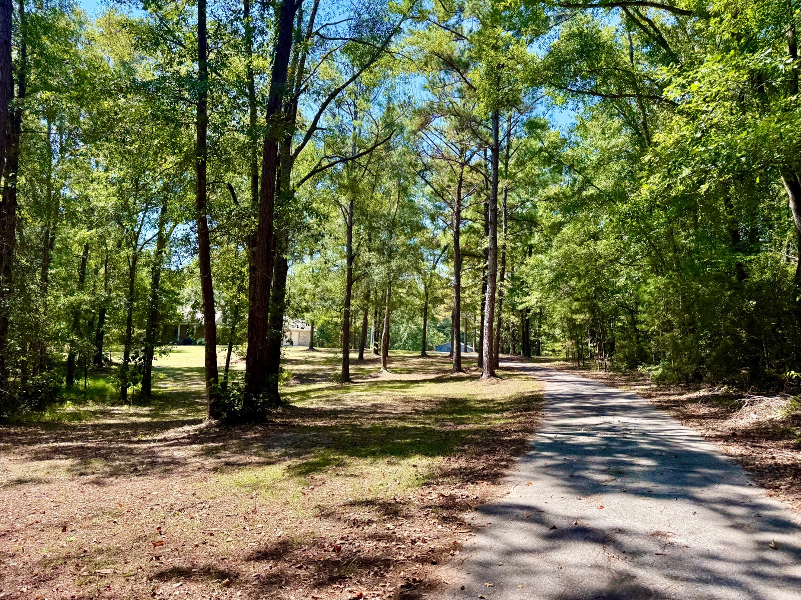 5590 Highway 154