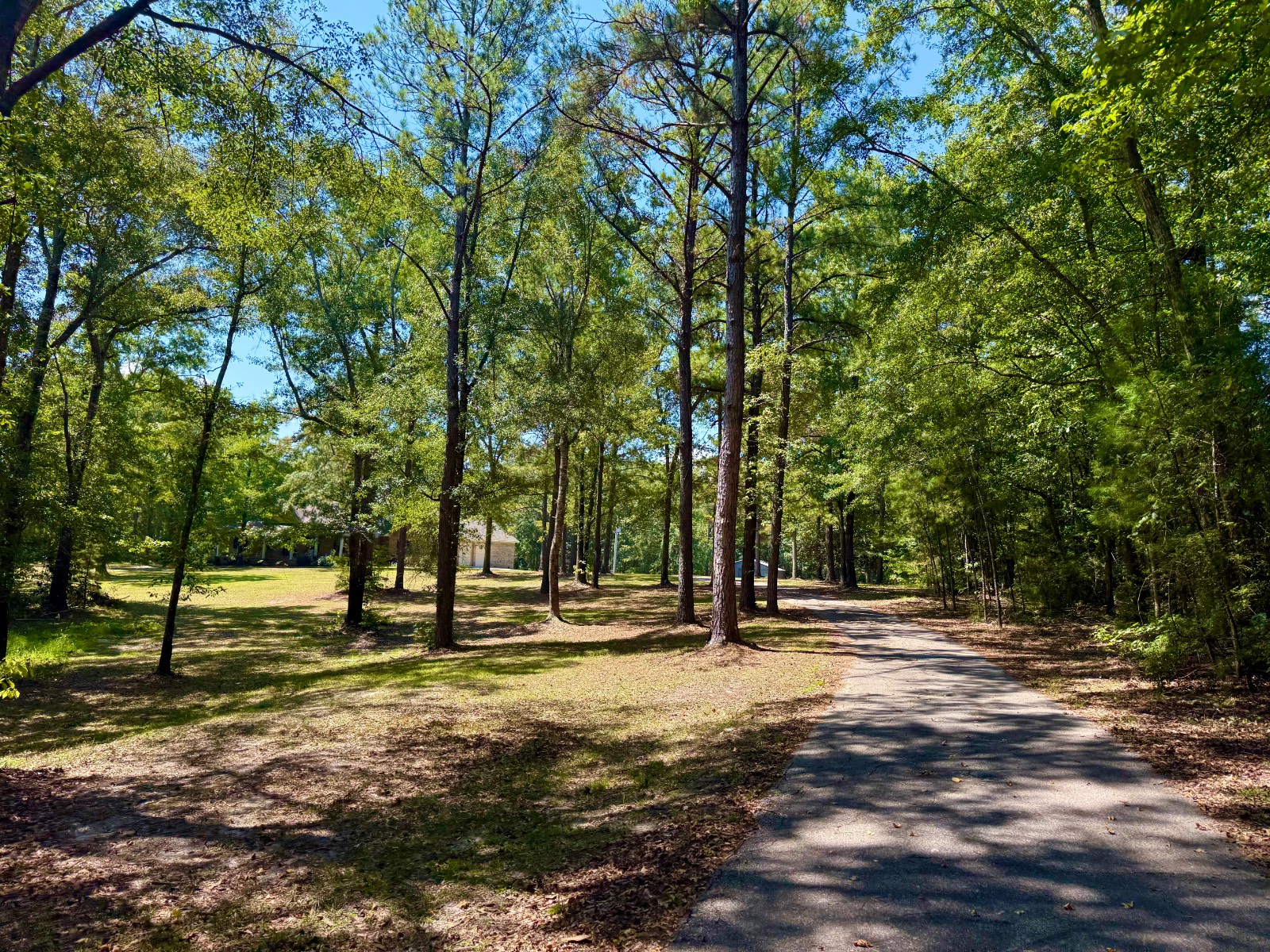 5590 Highway 154