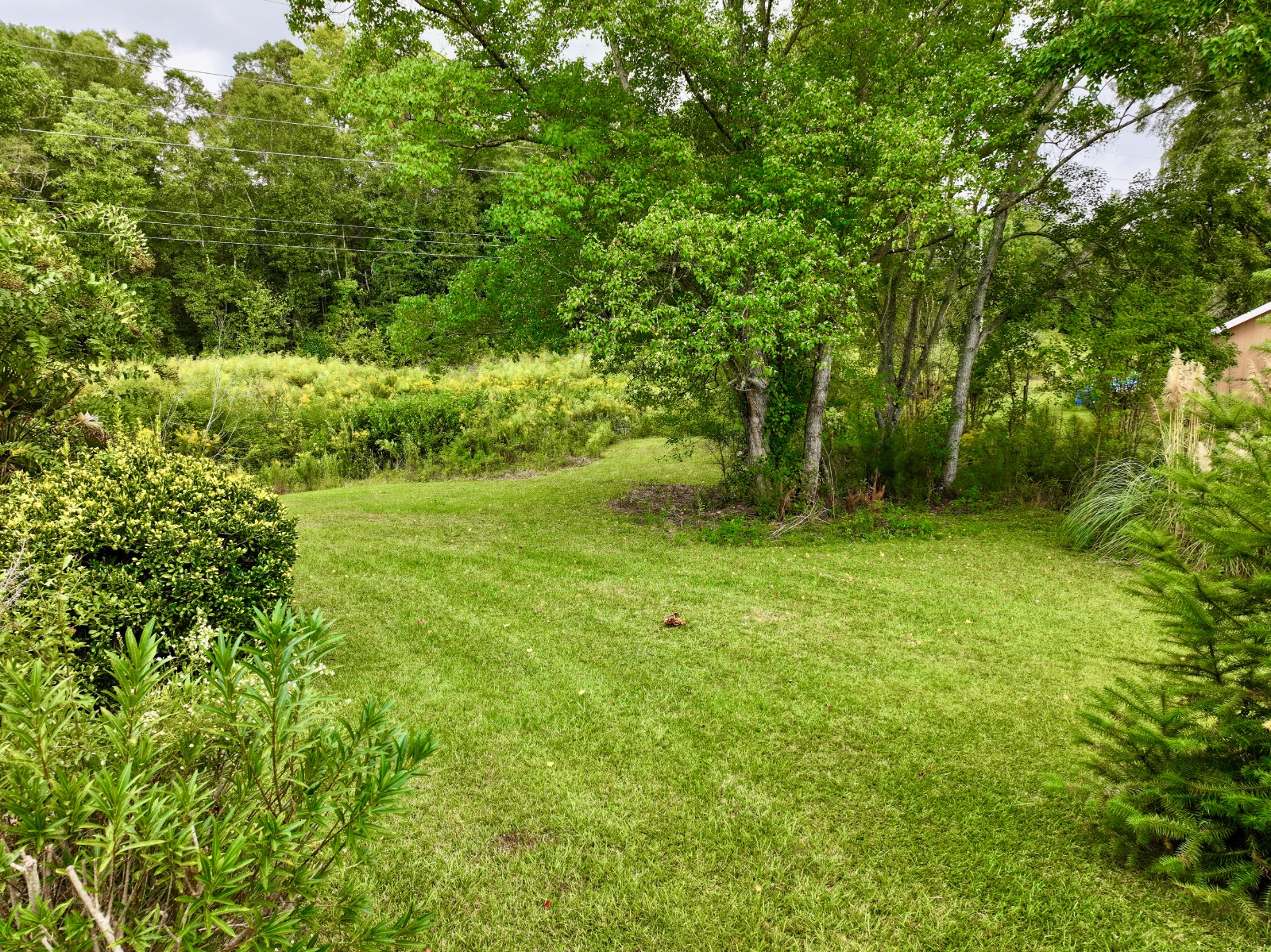 1560 Linwood Drive