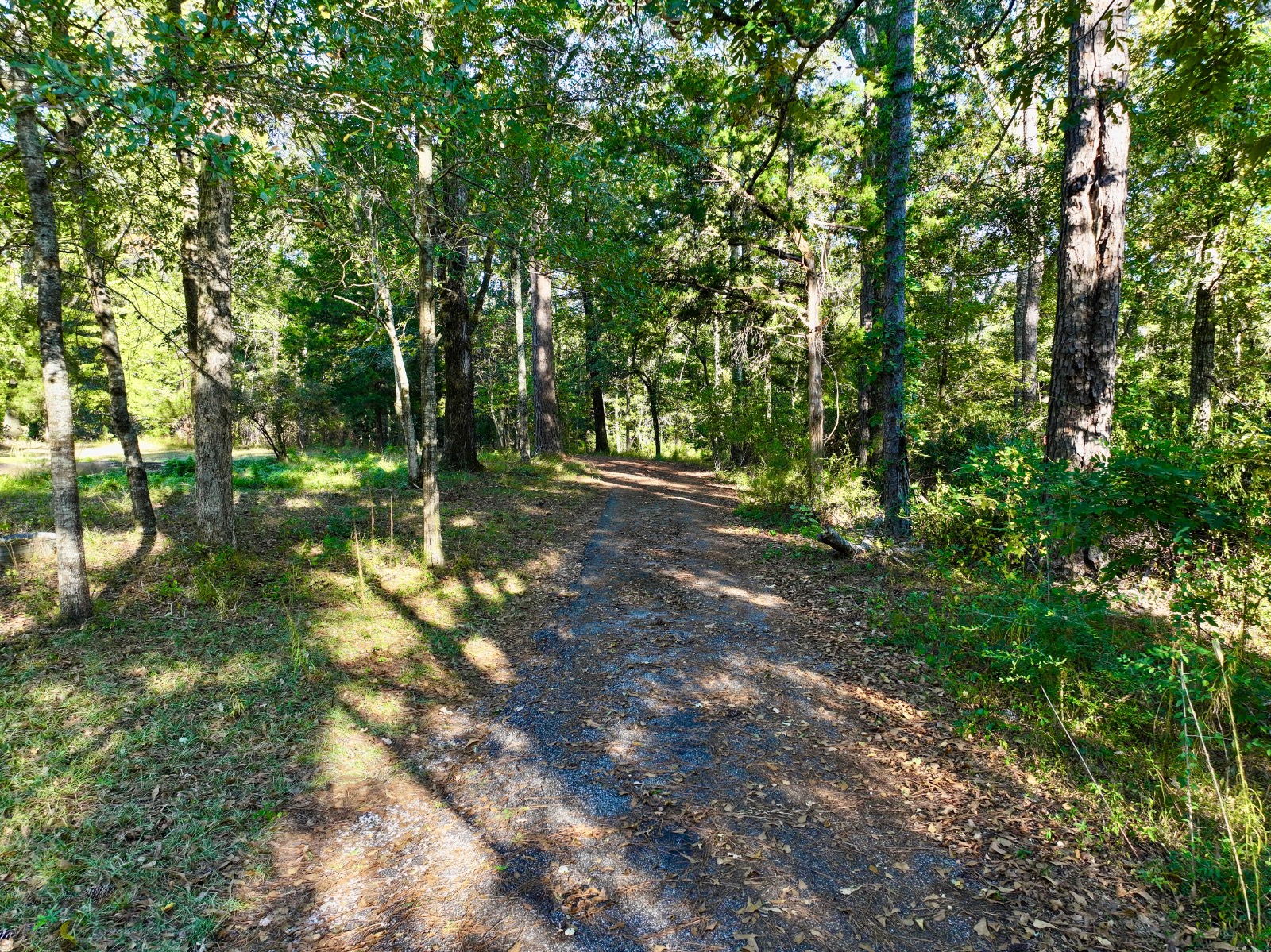 2056 Old Highway 5 S