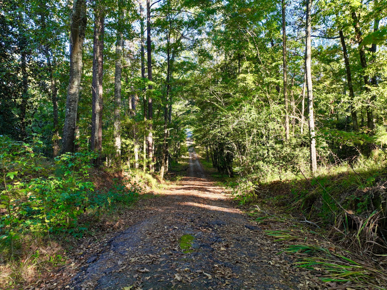 2056 Old Highway 5 S