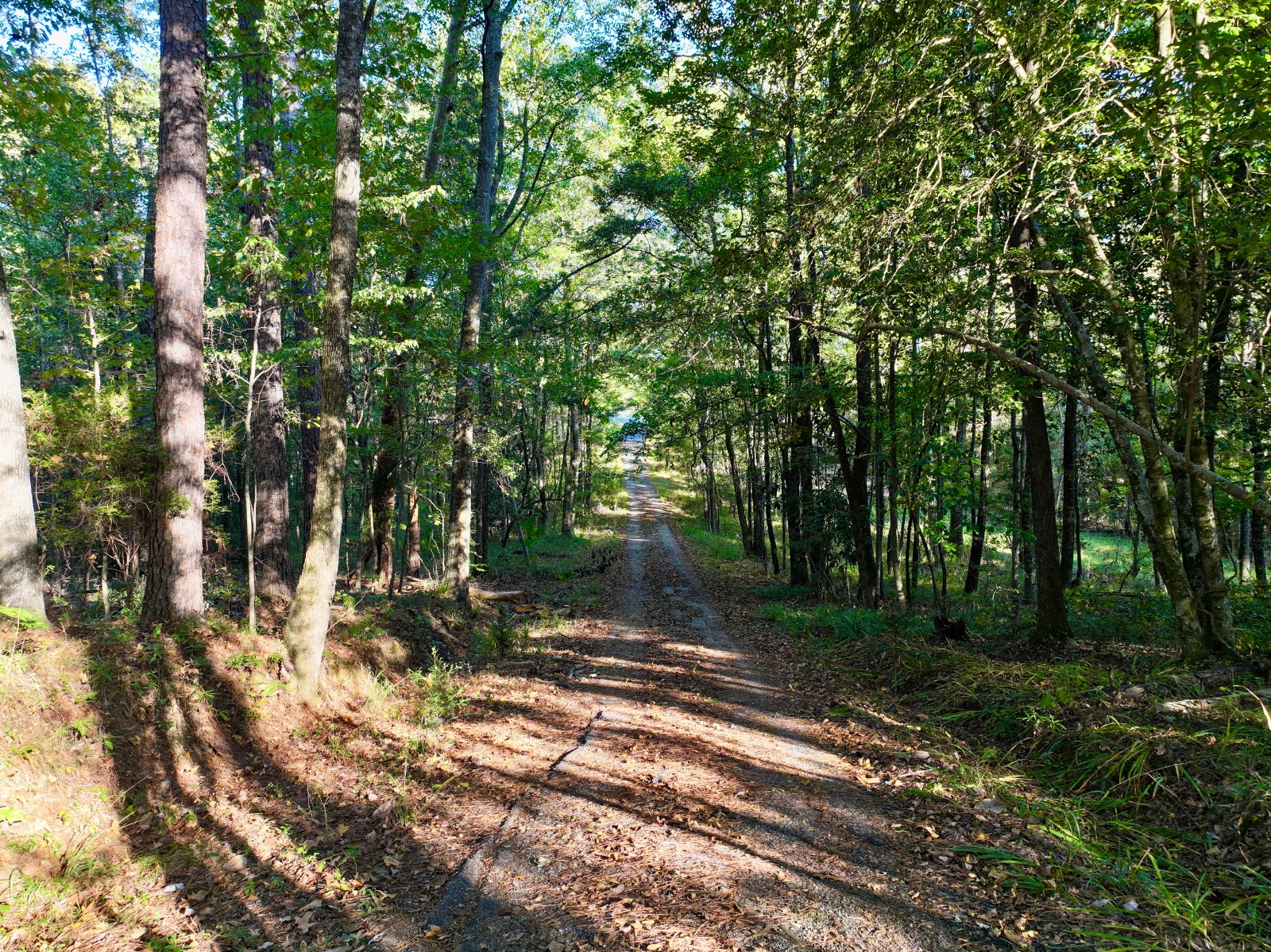 2056 Old Highway 5 S