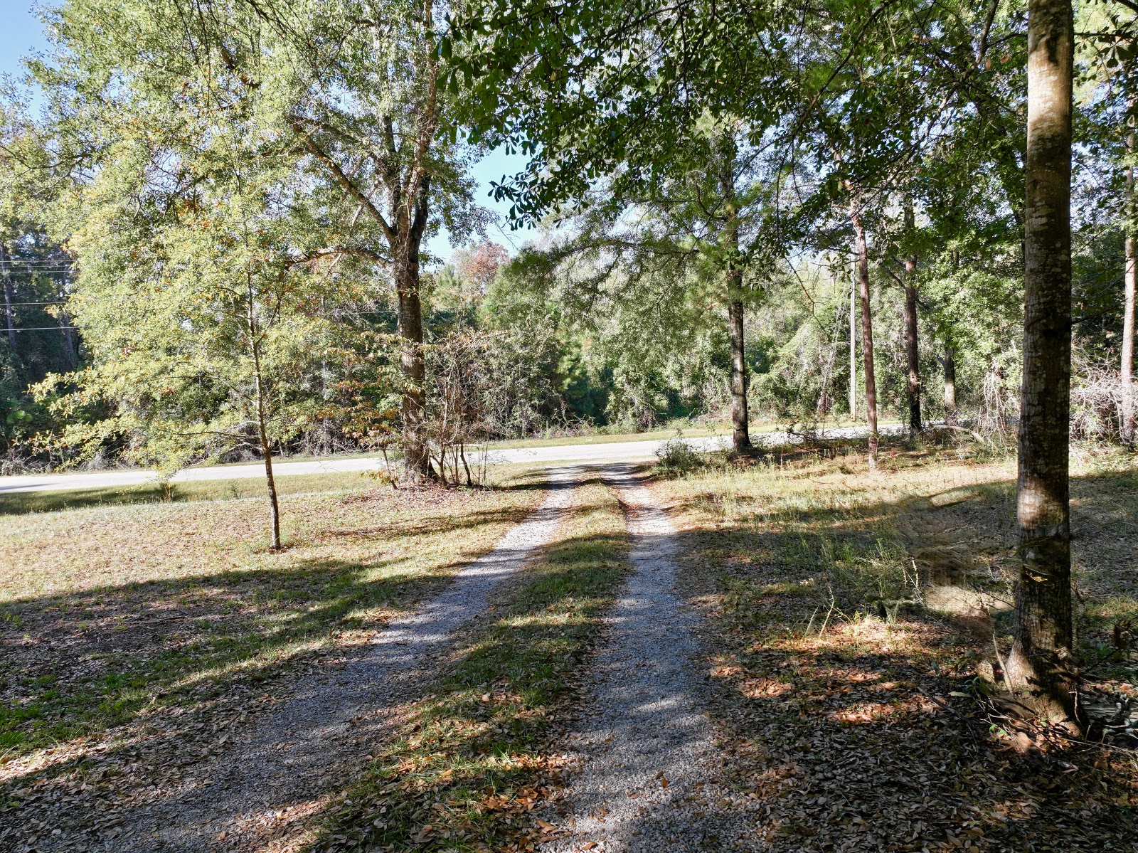 4441 gainestown road