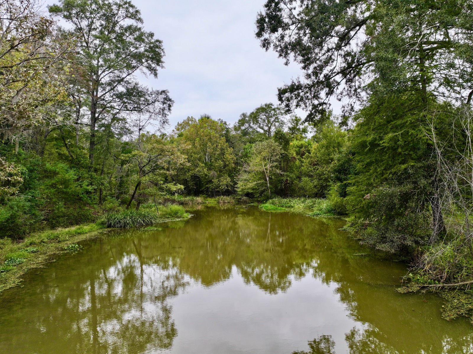 1785 International Paper Road