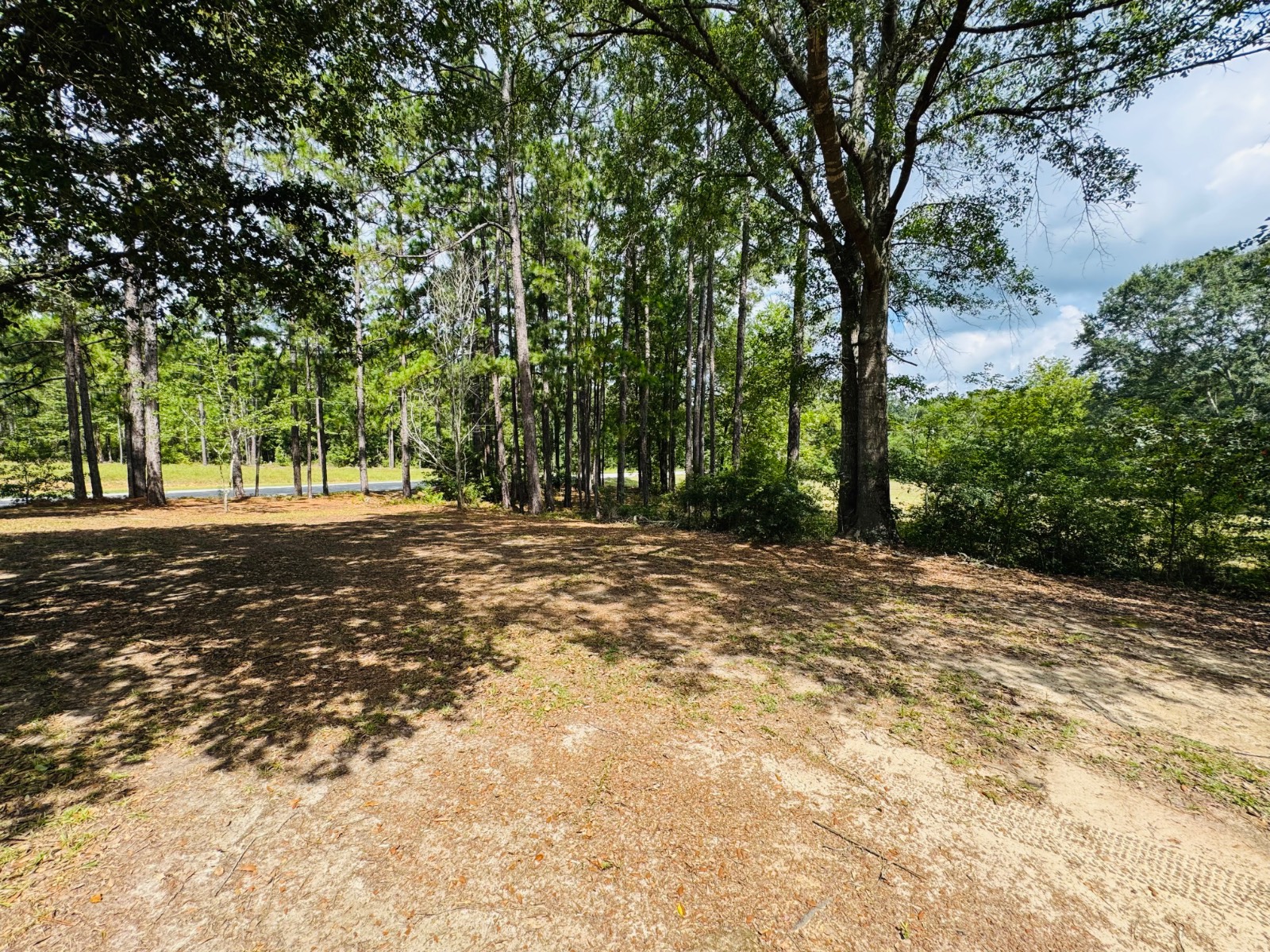 41 Buck Hill Road
