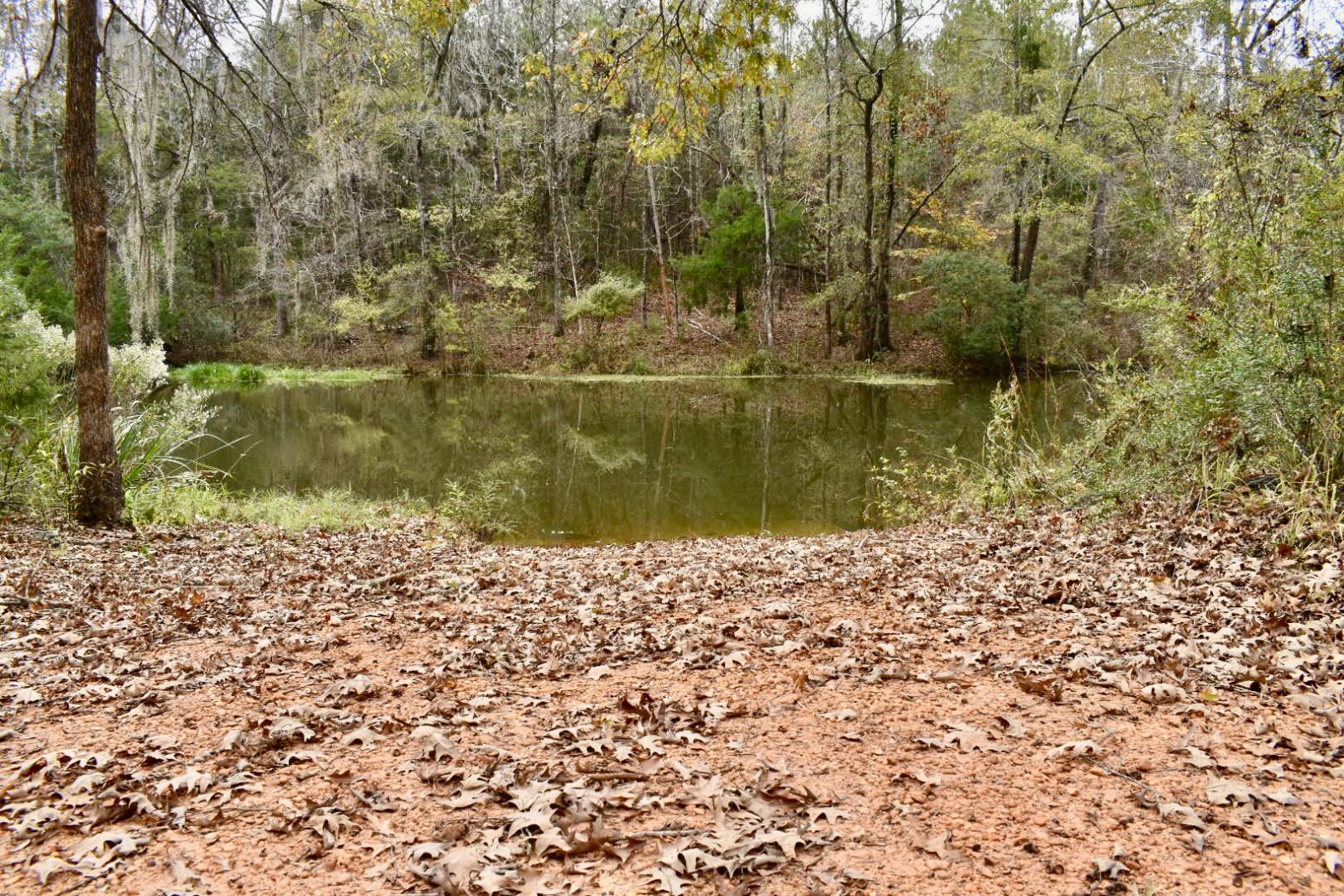 330 Jones River Road