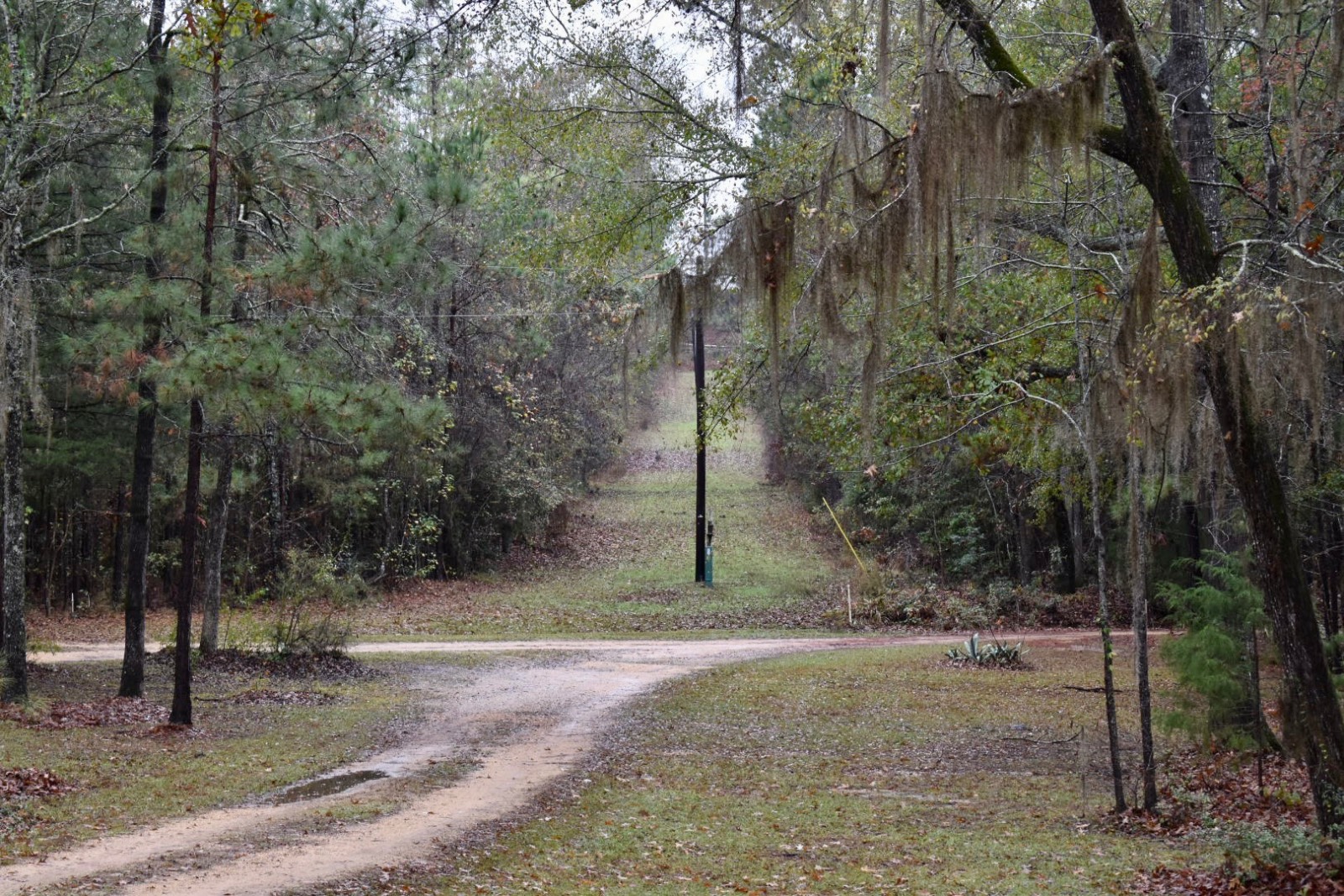 330 Jones River Road