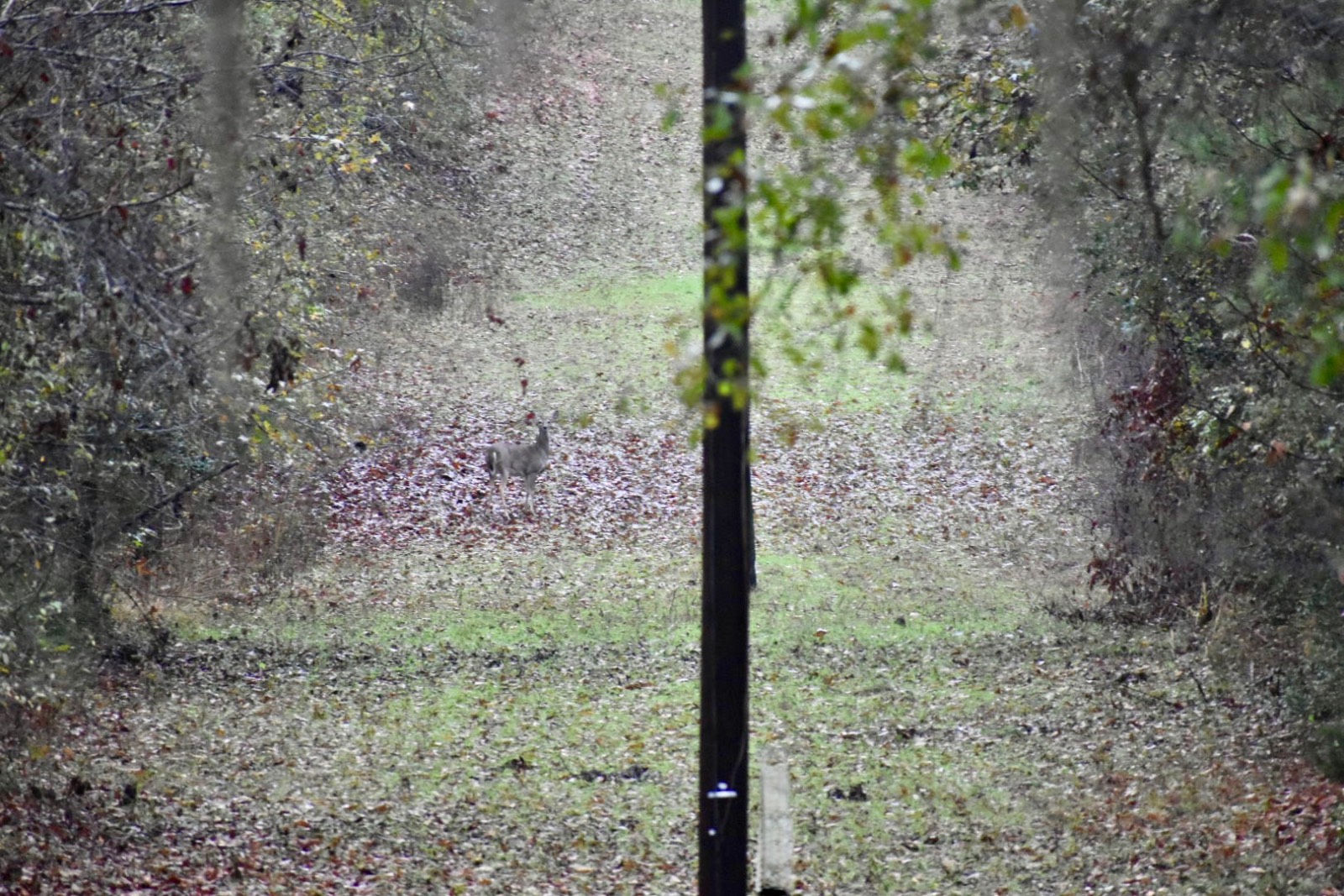 330 Jones River Road