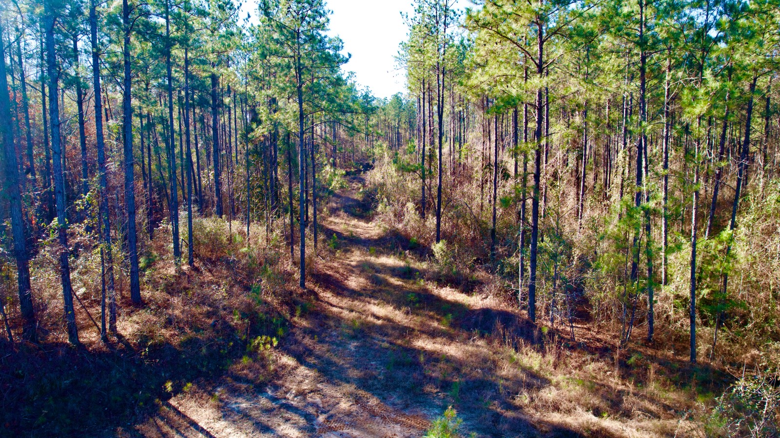 0 Midway Road