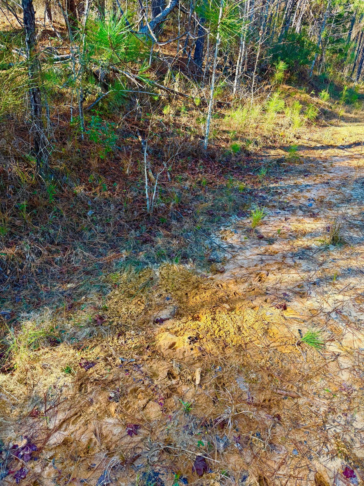0 Midway Road