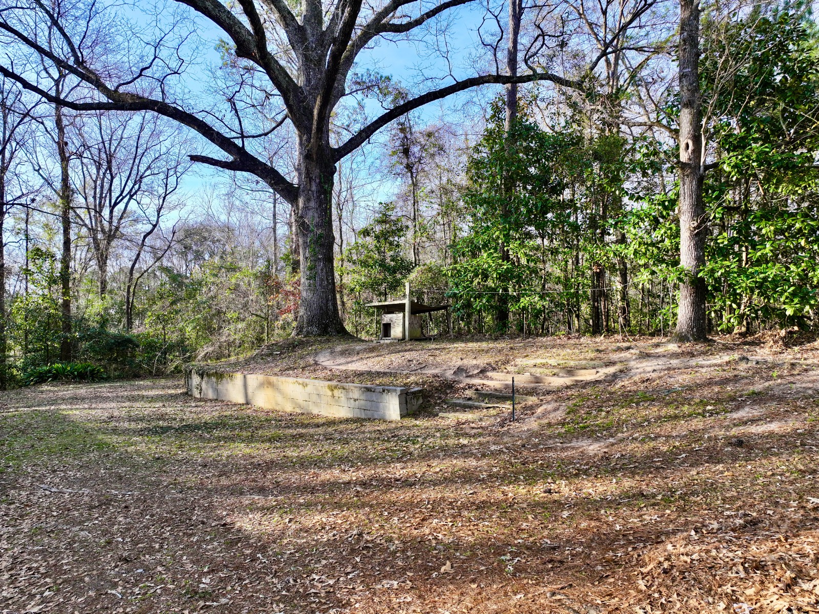 1520 N Andrews Drive