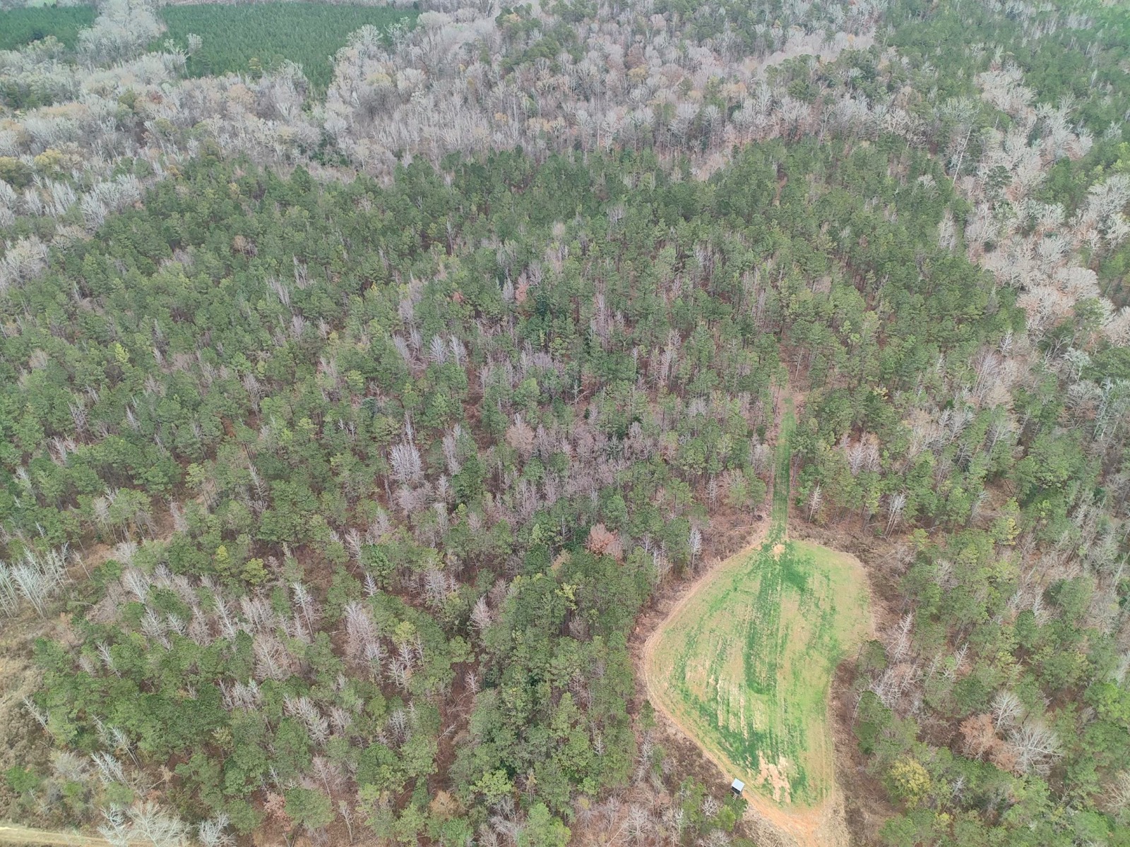 11039 Tallahatta Springs Road