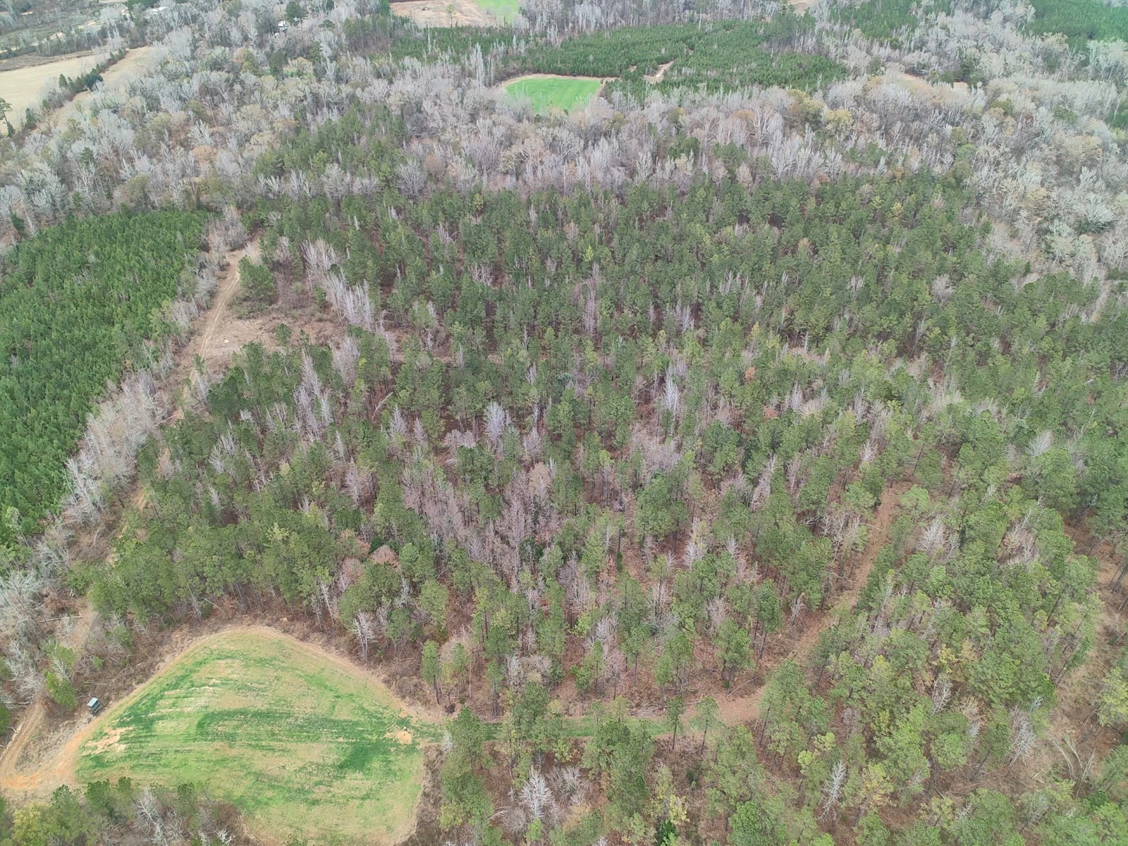 11039 Tallahatta Springs Road