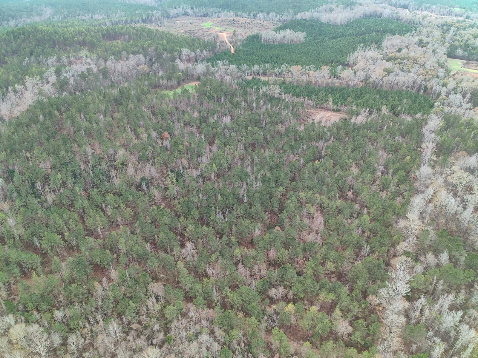 11039 Tallahatta Springs Road