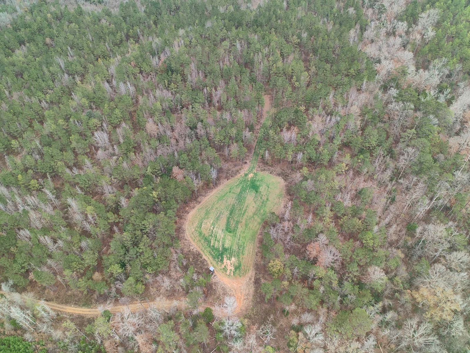 11039 Tallahatta Springs Road