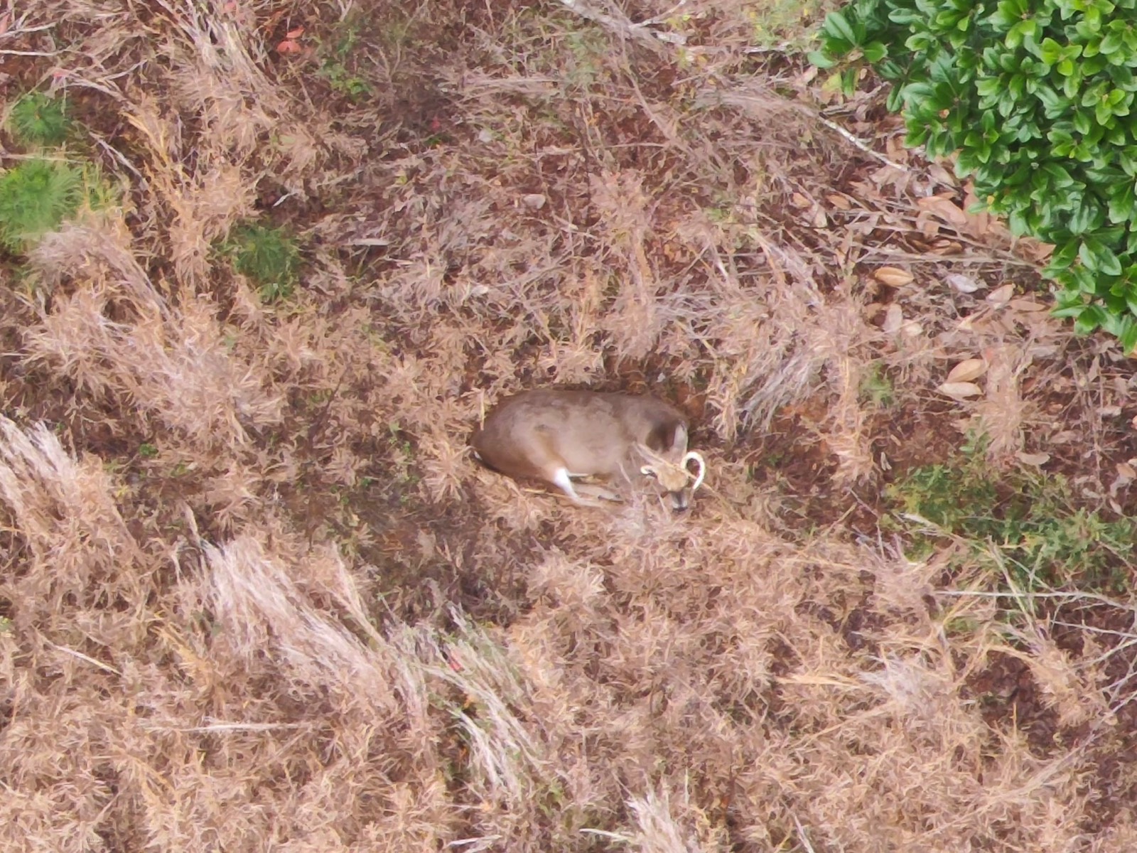 11039 Tallahatta Springs Road