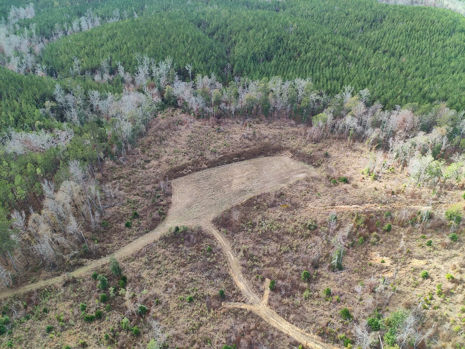 11039 Tallahatta Springs Road