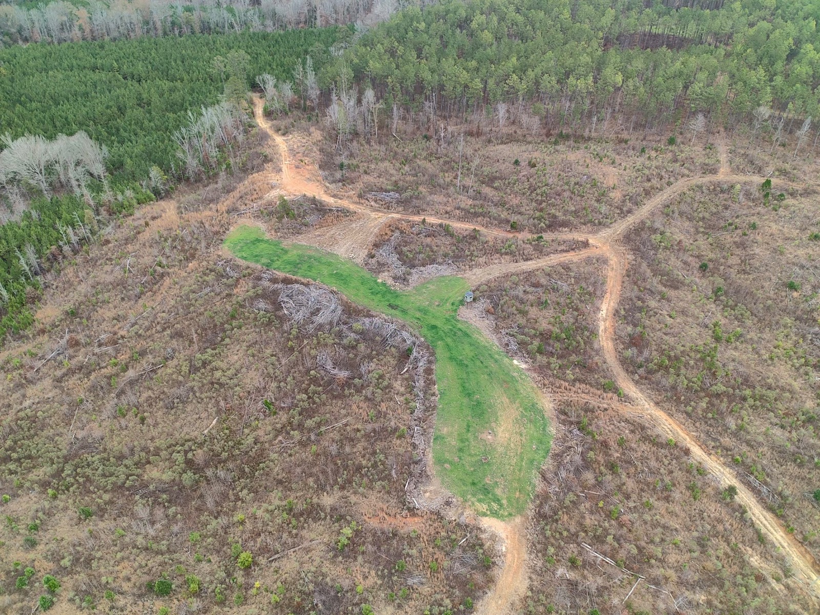 11039 Tallahatta Springs Road