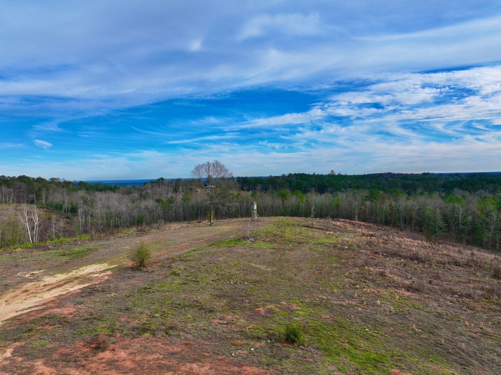 5575 11 Mile Post Road