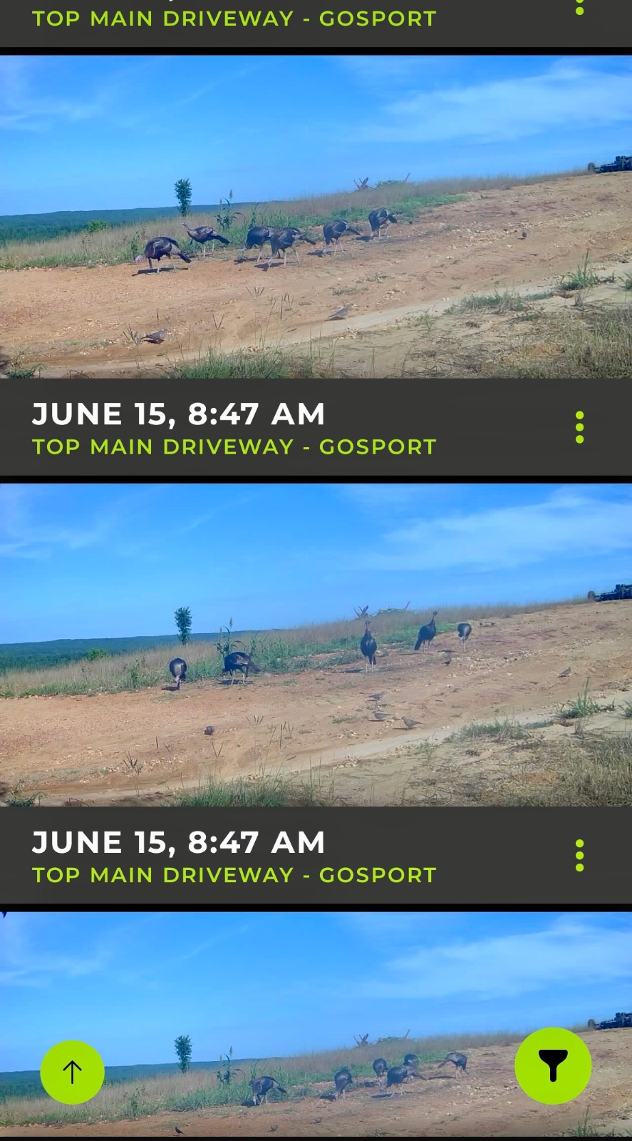 5575 11 Mile Post Road