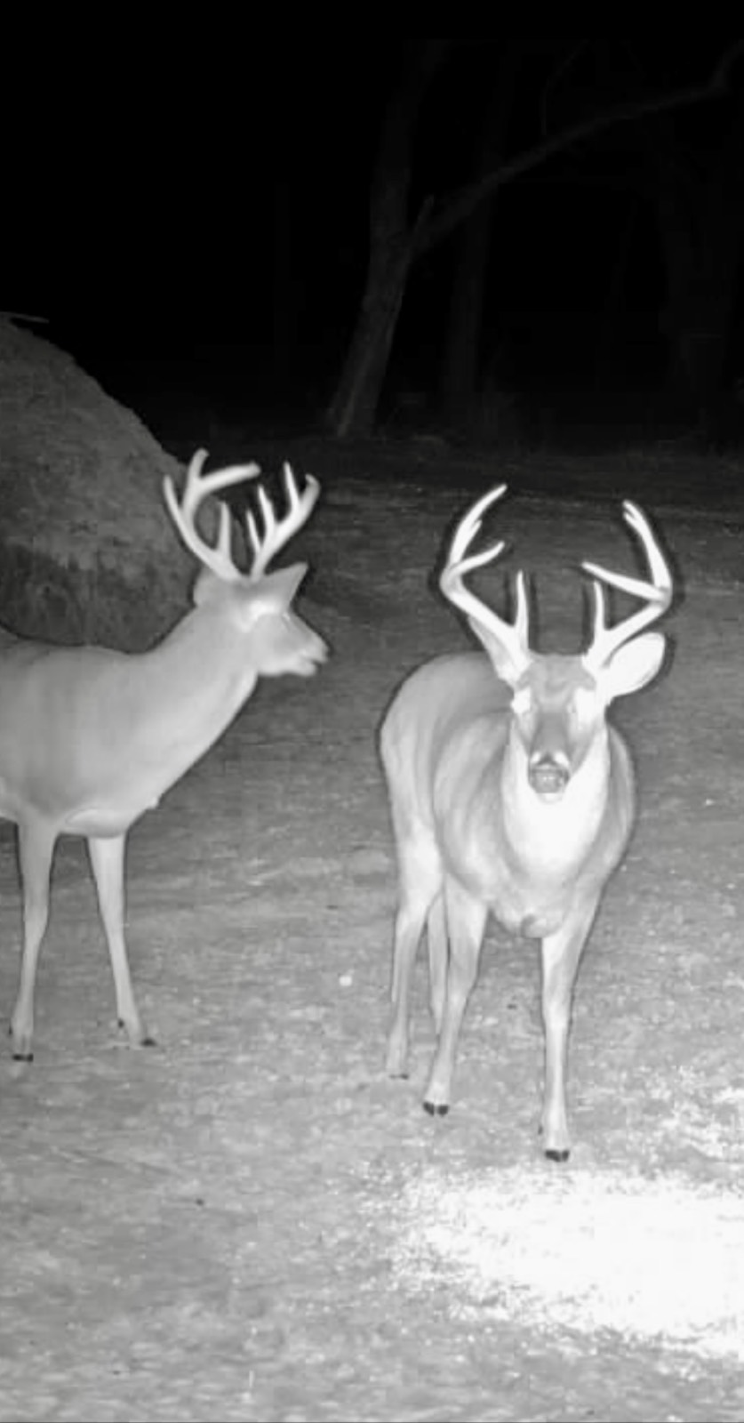 5575 11 Mile Post Road