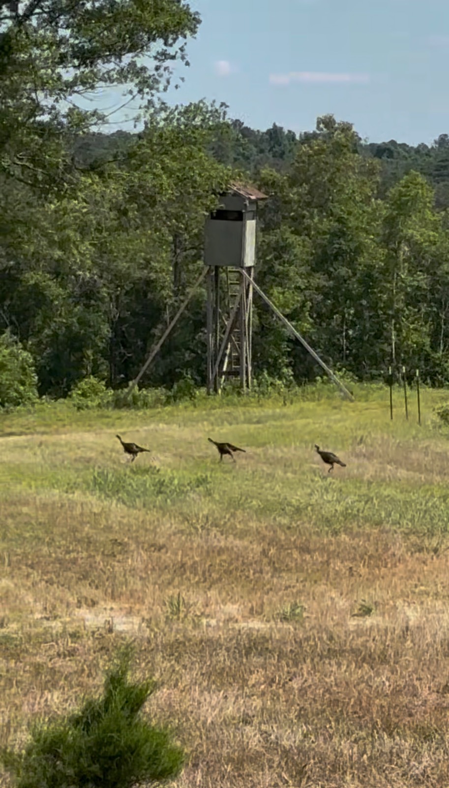 5575 11 Mile Post Road