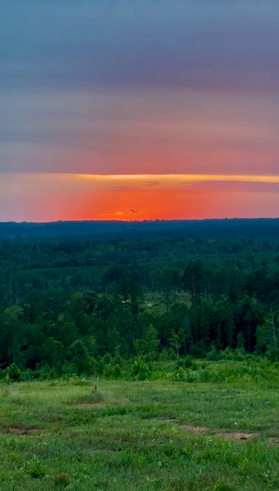 5575 11 Mile Post Road