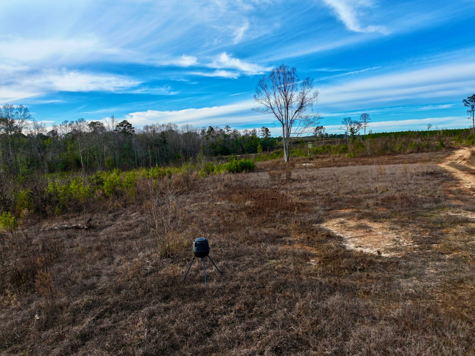 5575 11 Mile Post Road