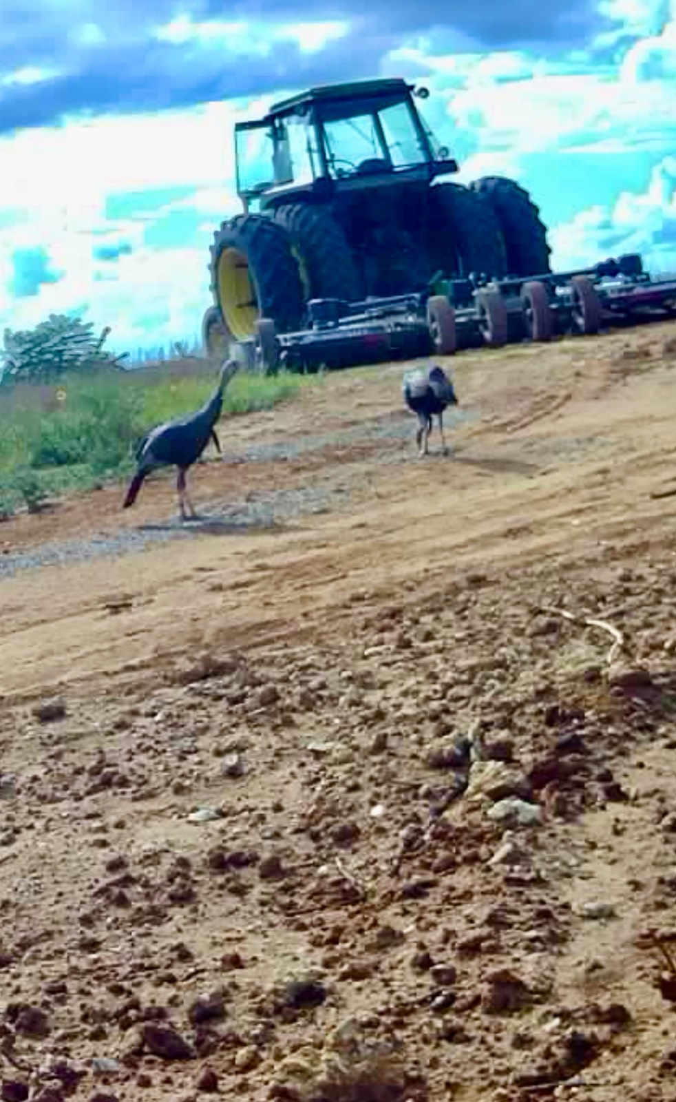 5575 11 Mile Post Road