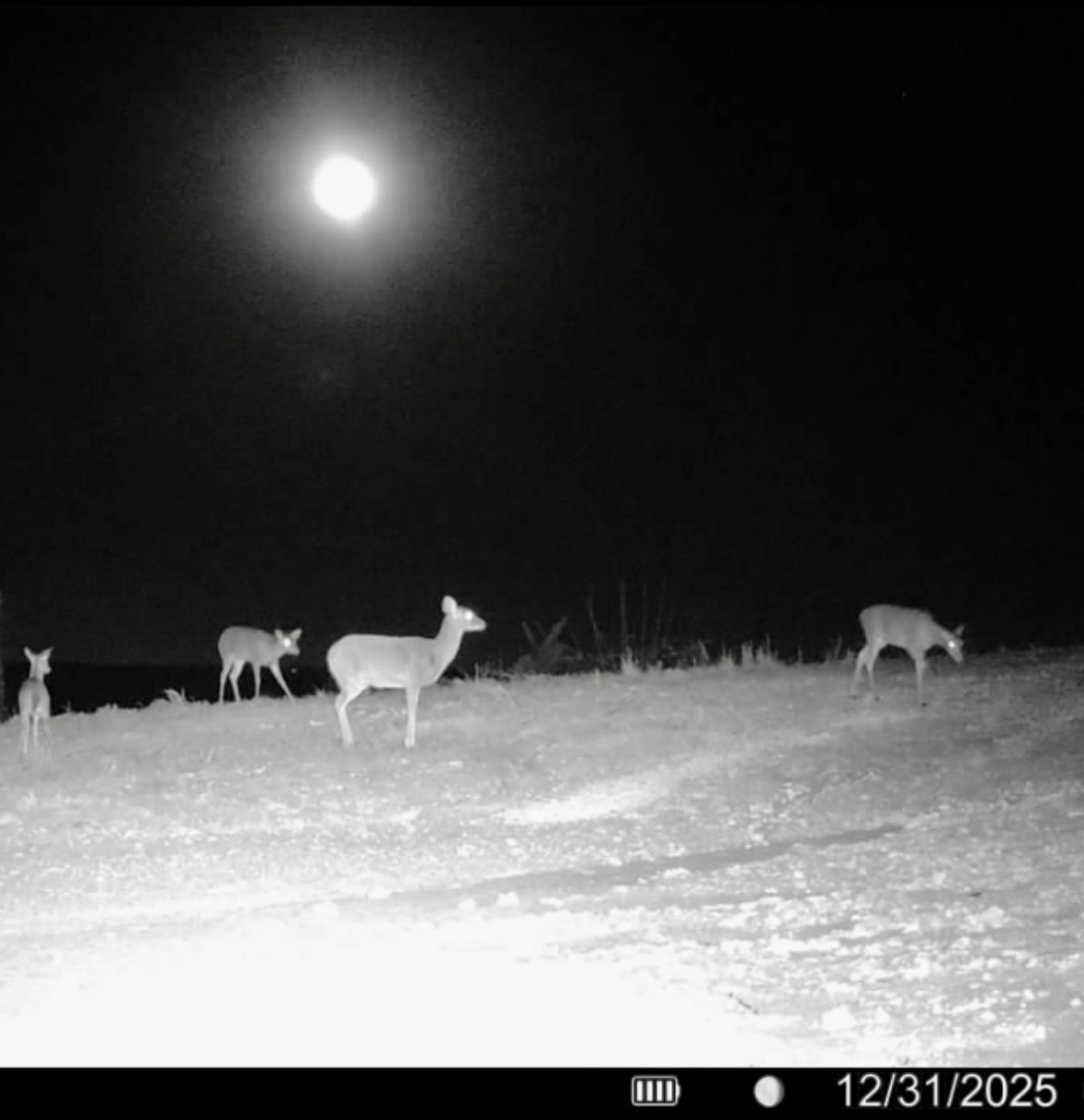 5575 11 Mile Post Road