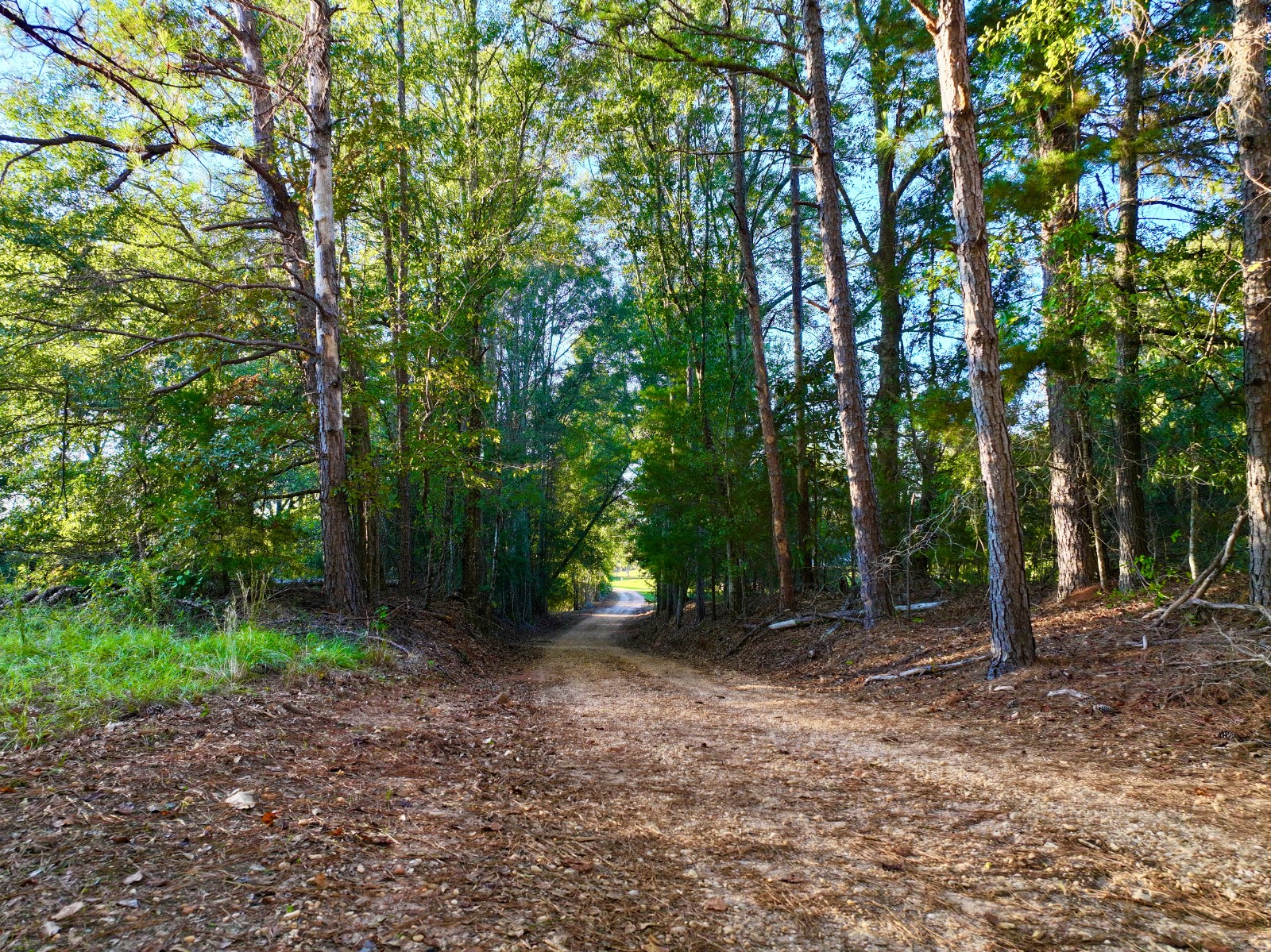 4512 Zimco Road
