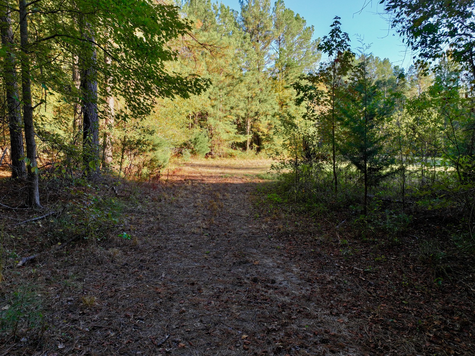 4512 Zimco Road
