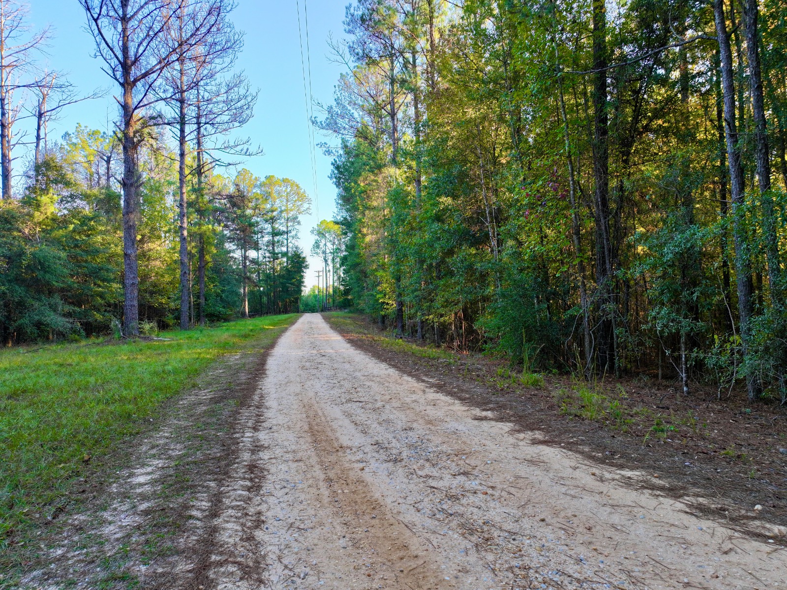 4512 Zimco Road