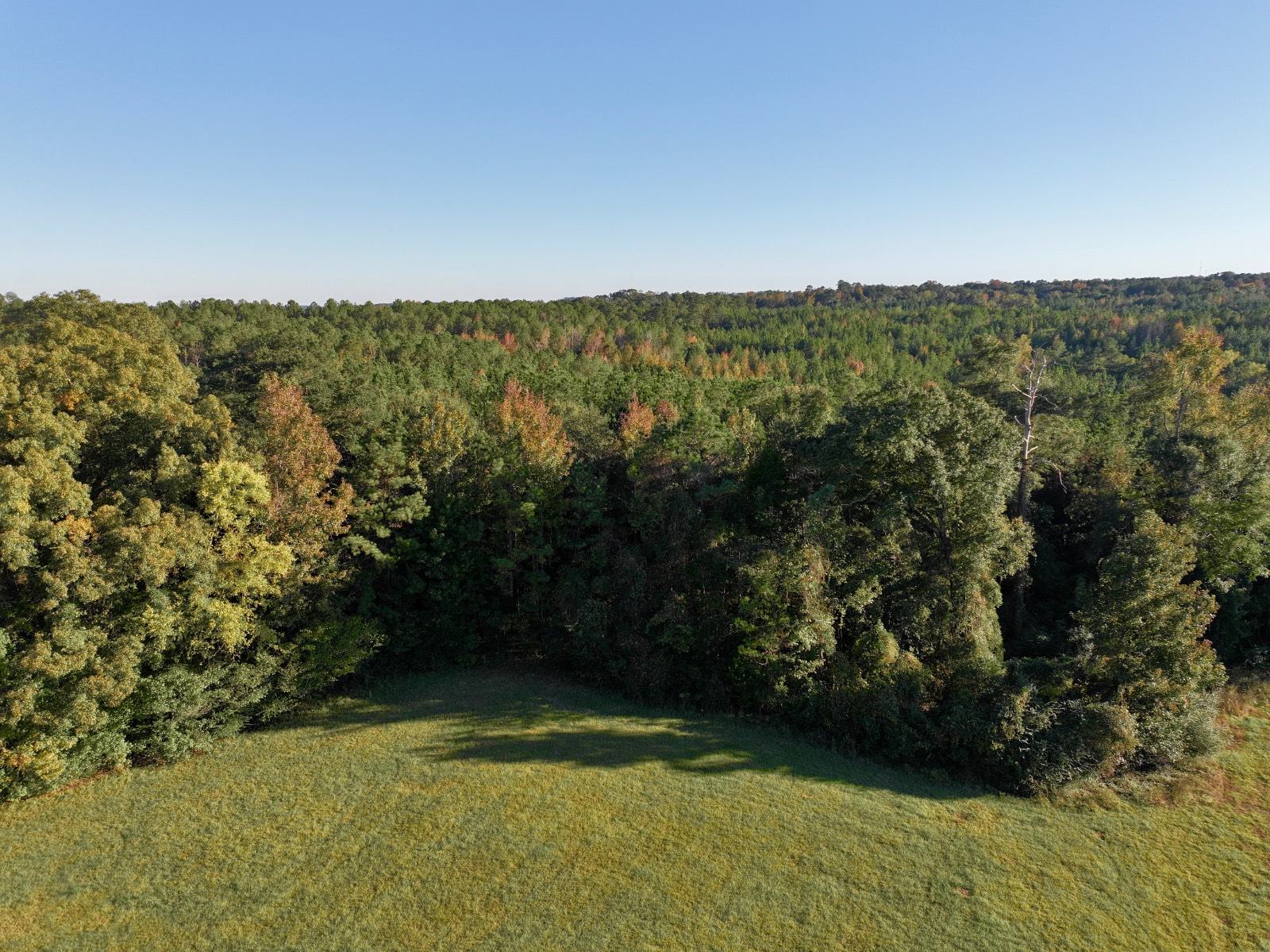 4512 Zimco Road