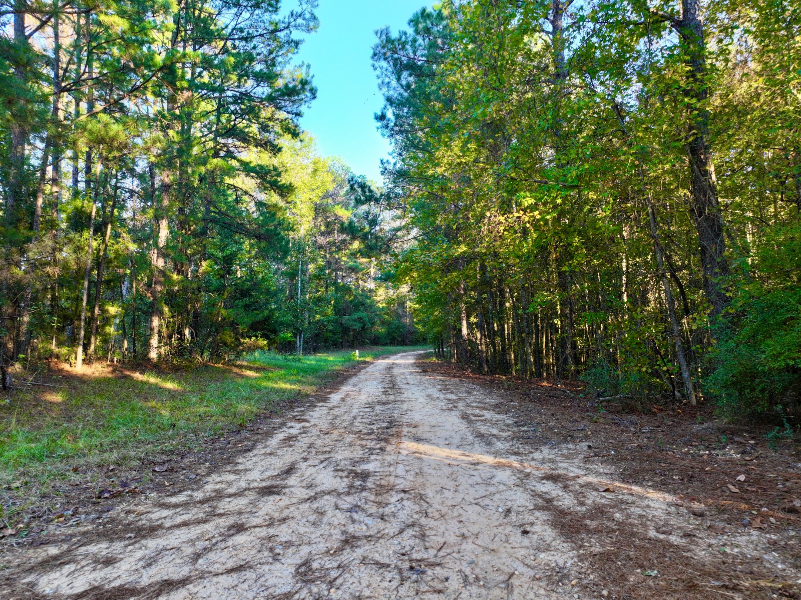 4512 Zimco Road