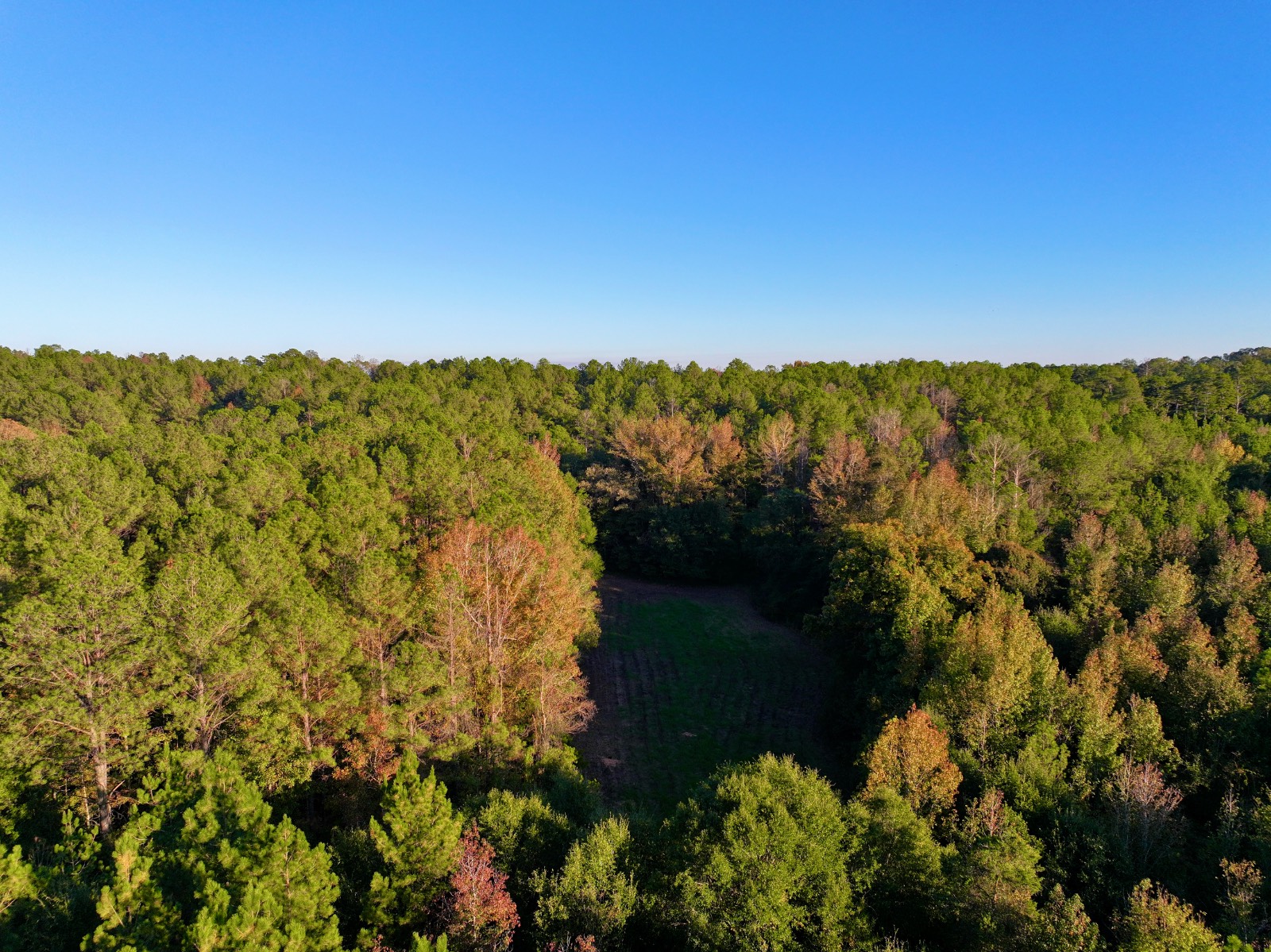 4512 Zimco Road