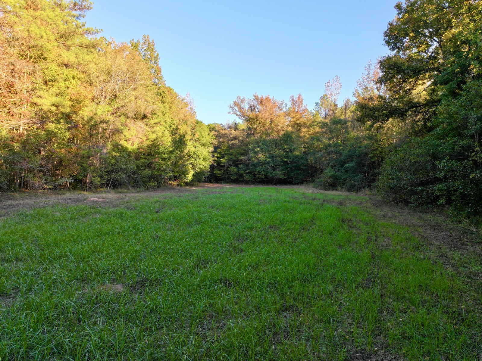 4512 Zimco Road