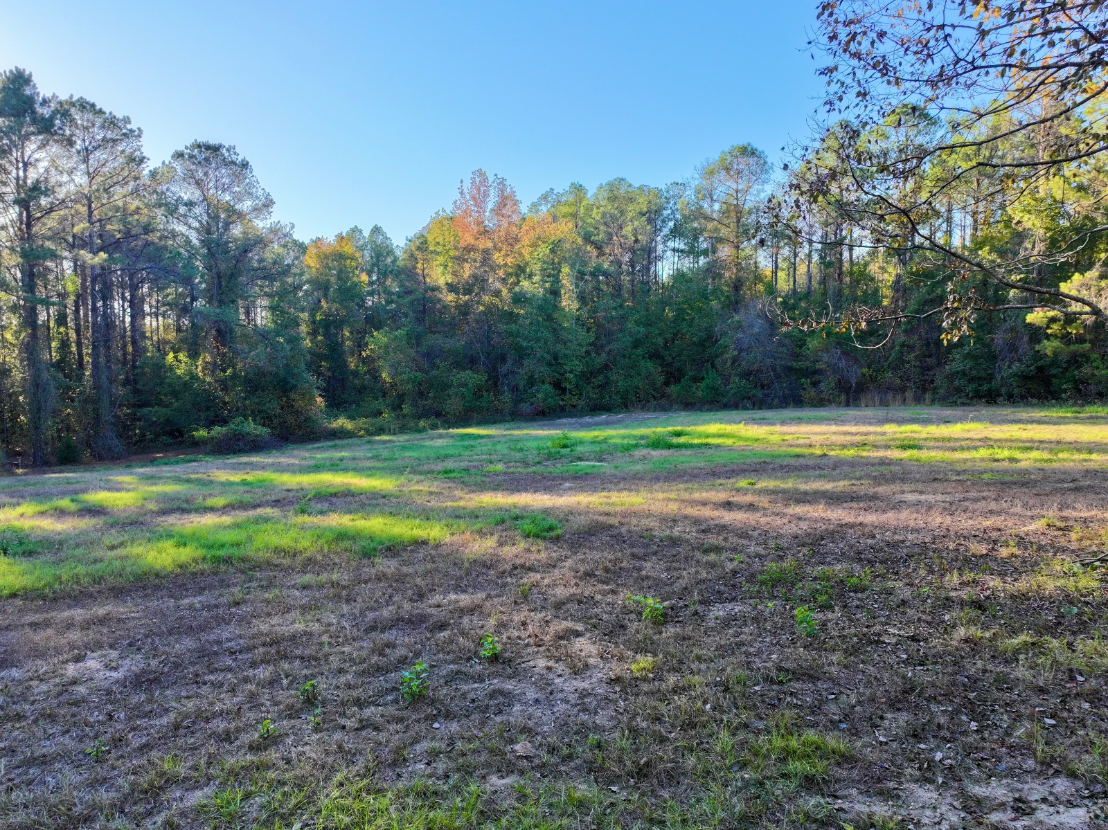 4512 Zimco Road