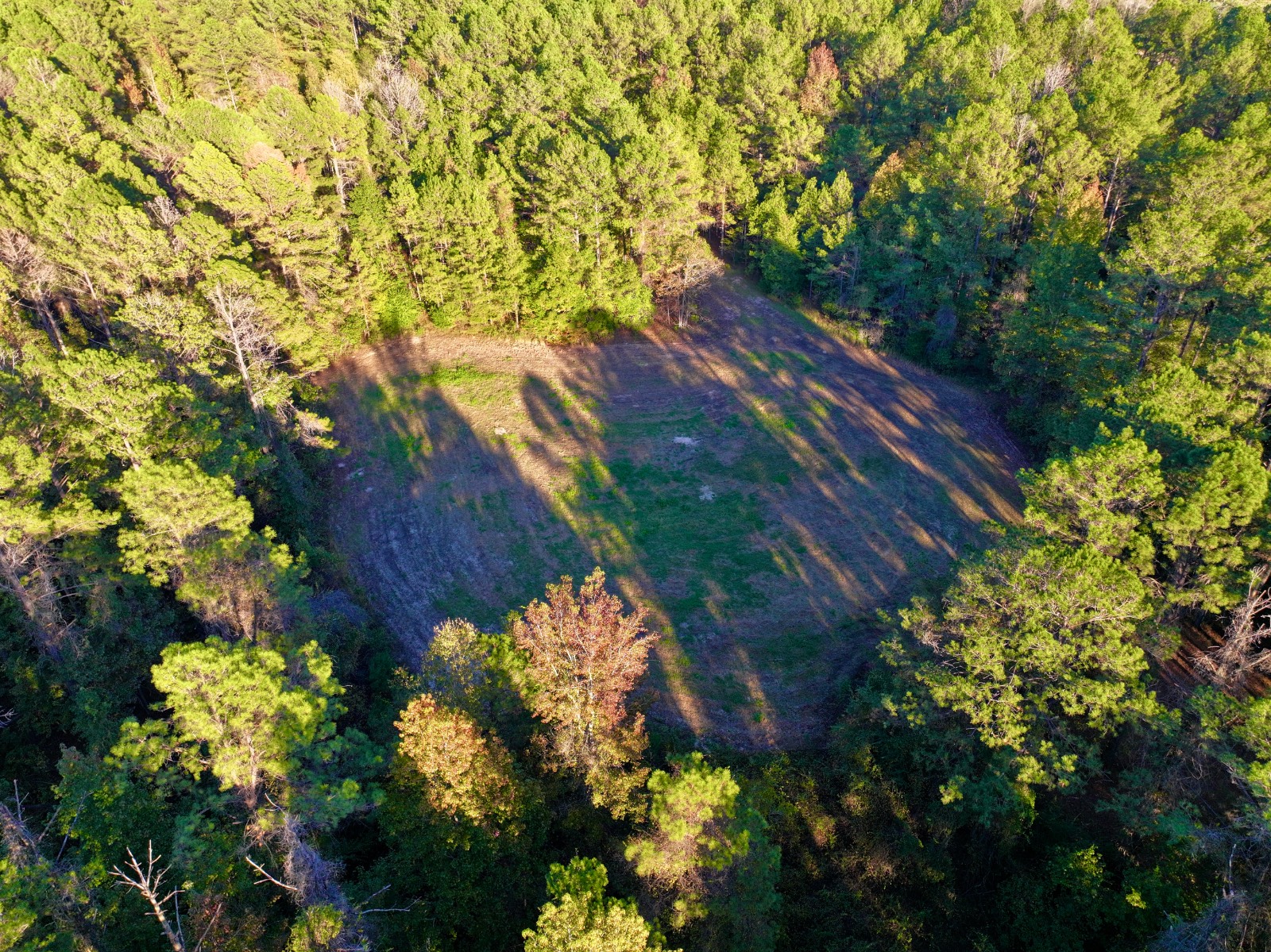 4512 Zimco Road