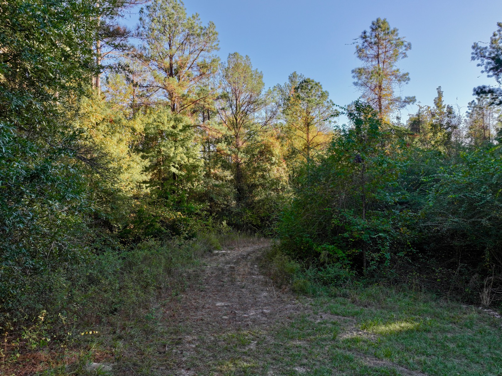 4512 Zimco Road
