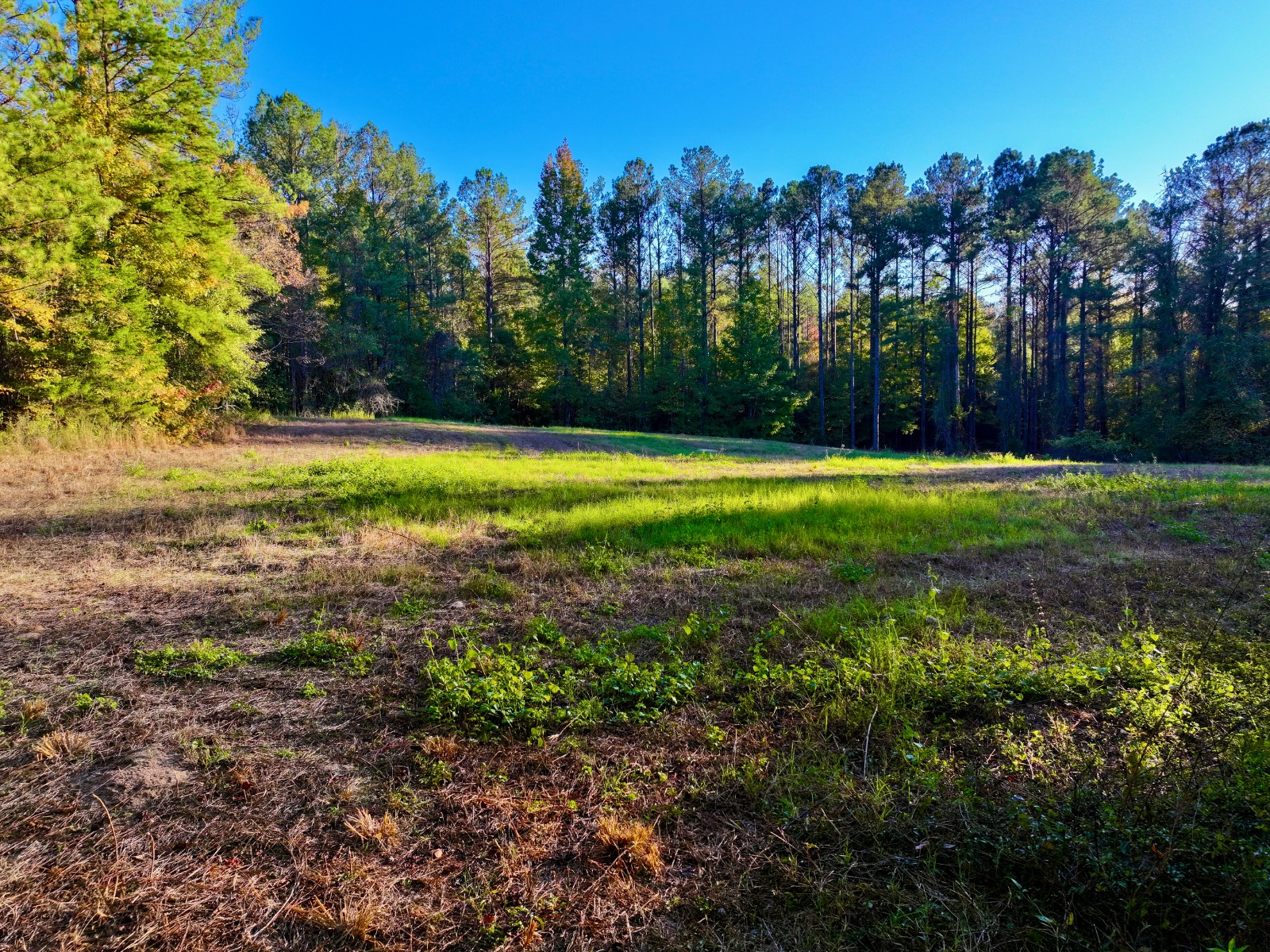 4512 Zimco Road