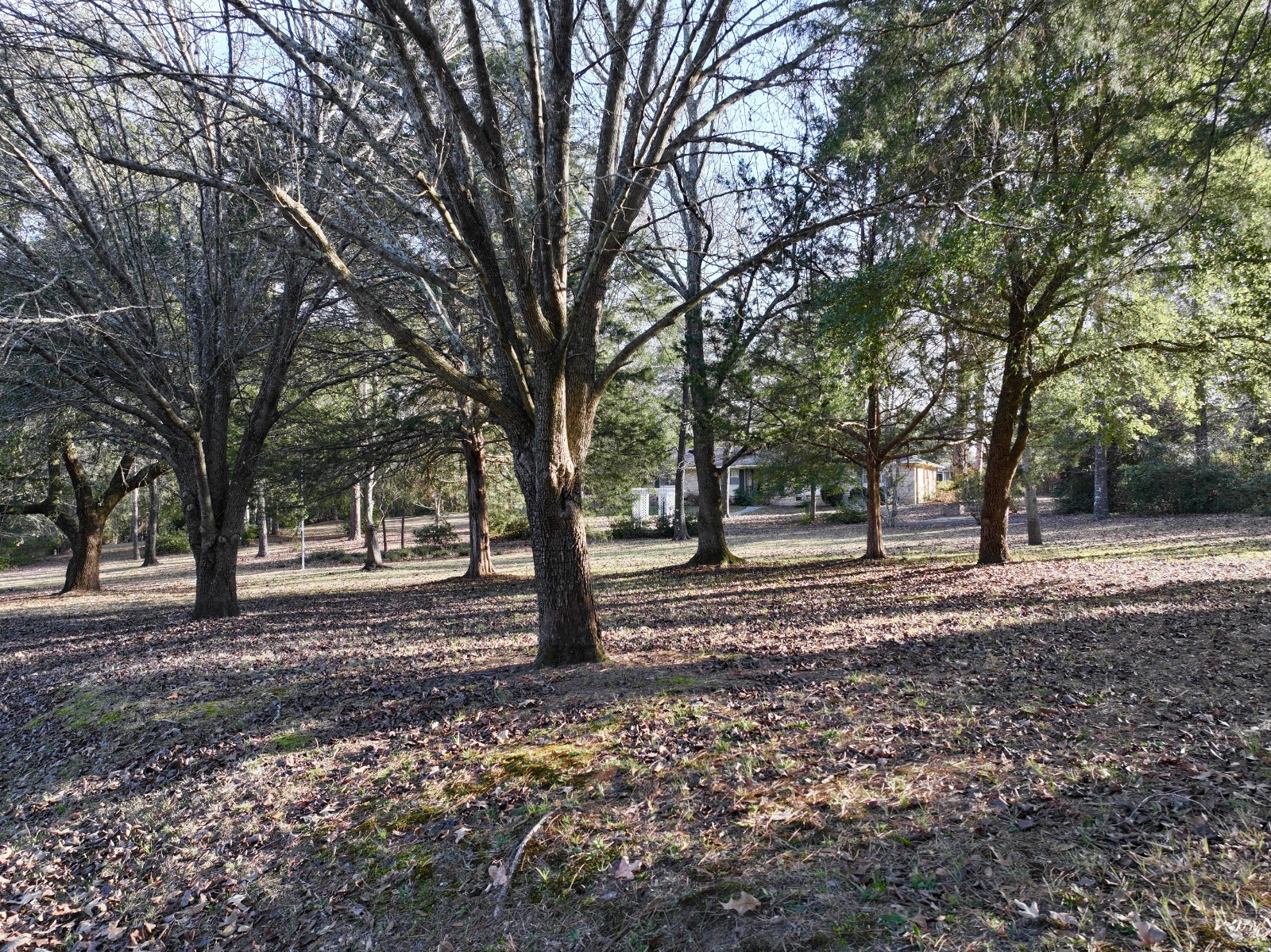 314 Cherokee Drive