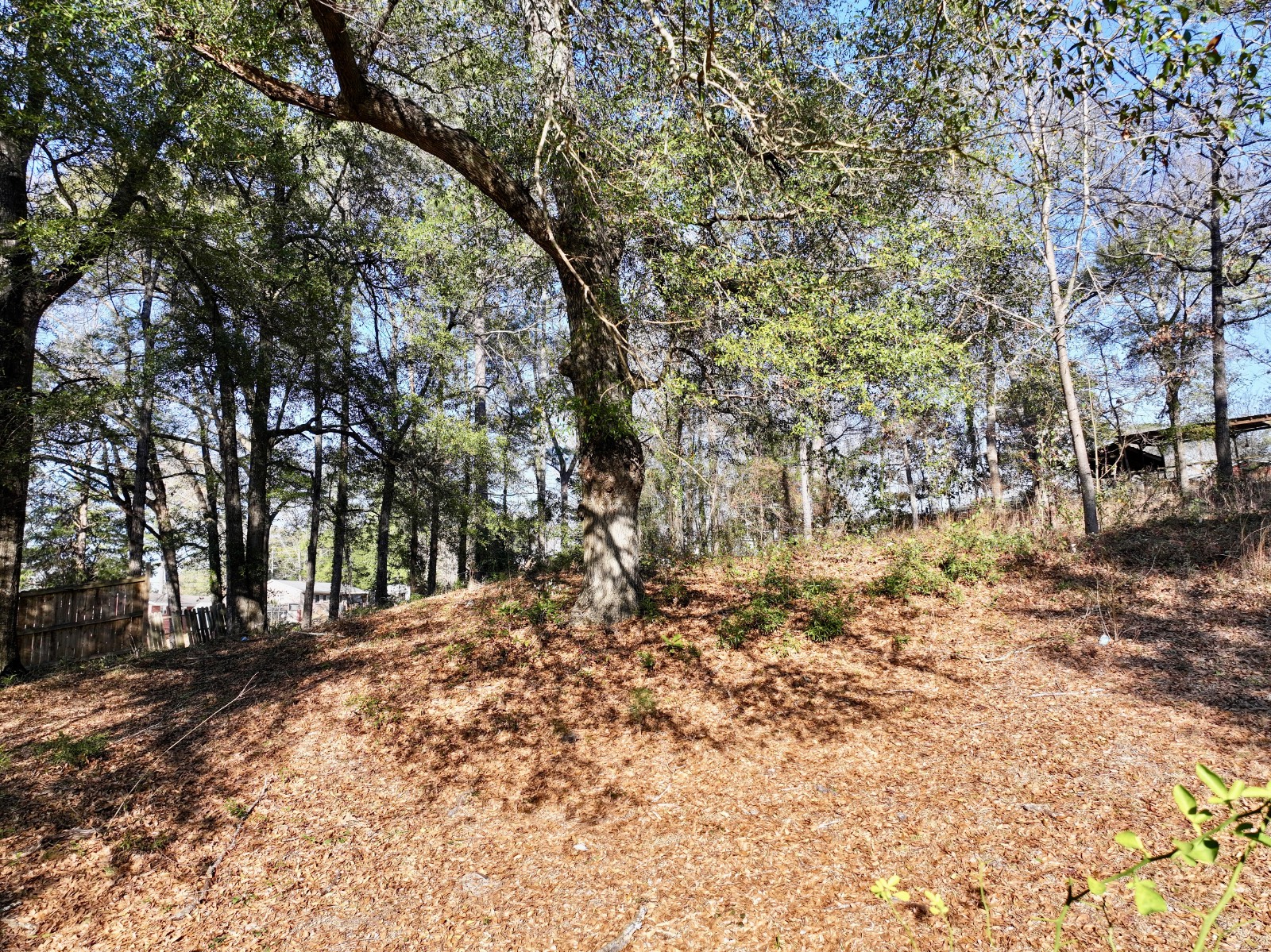 1611 McKee Drive