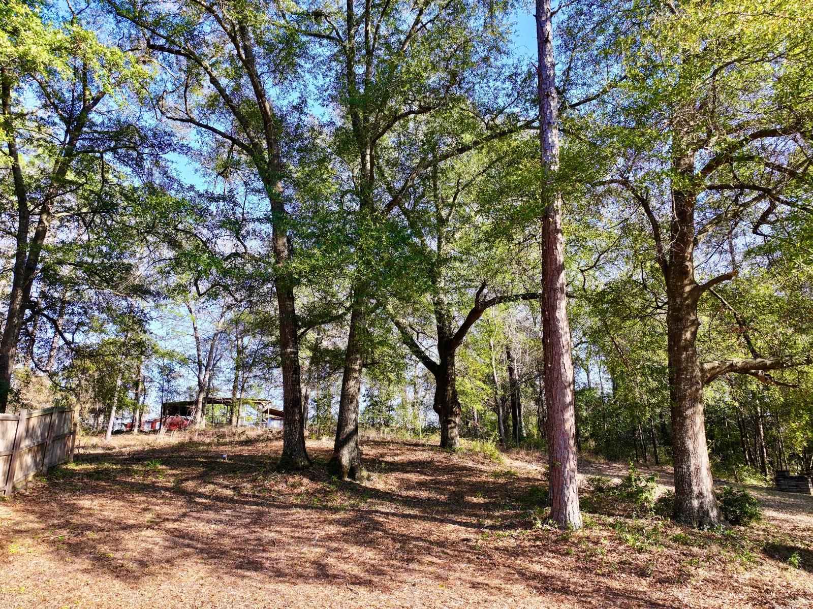 1611 McKee Drive